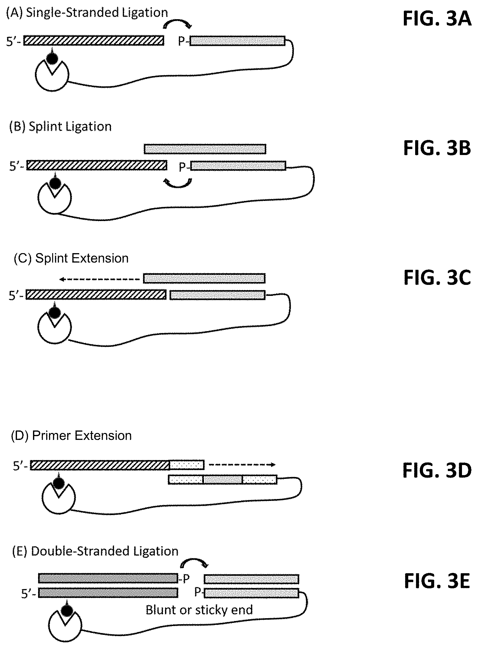 Patent US11773425 Figure 3 – Multiplexed profiling of RNA and DNA modifications