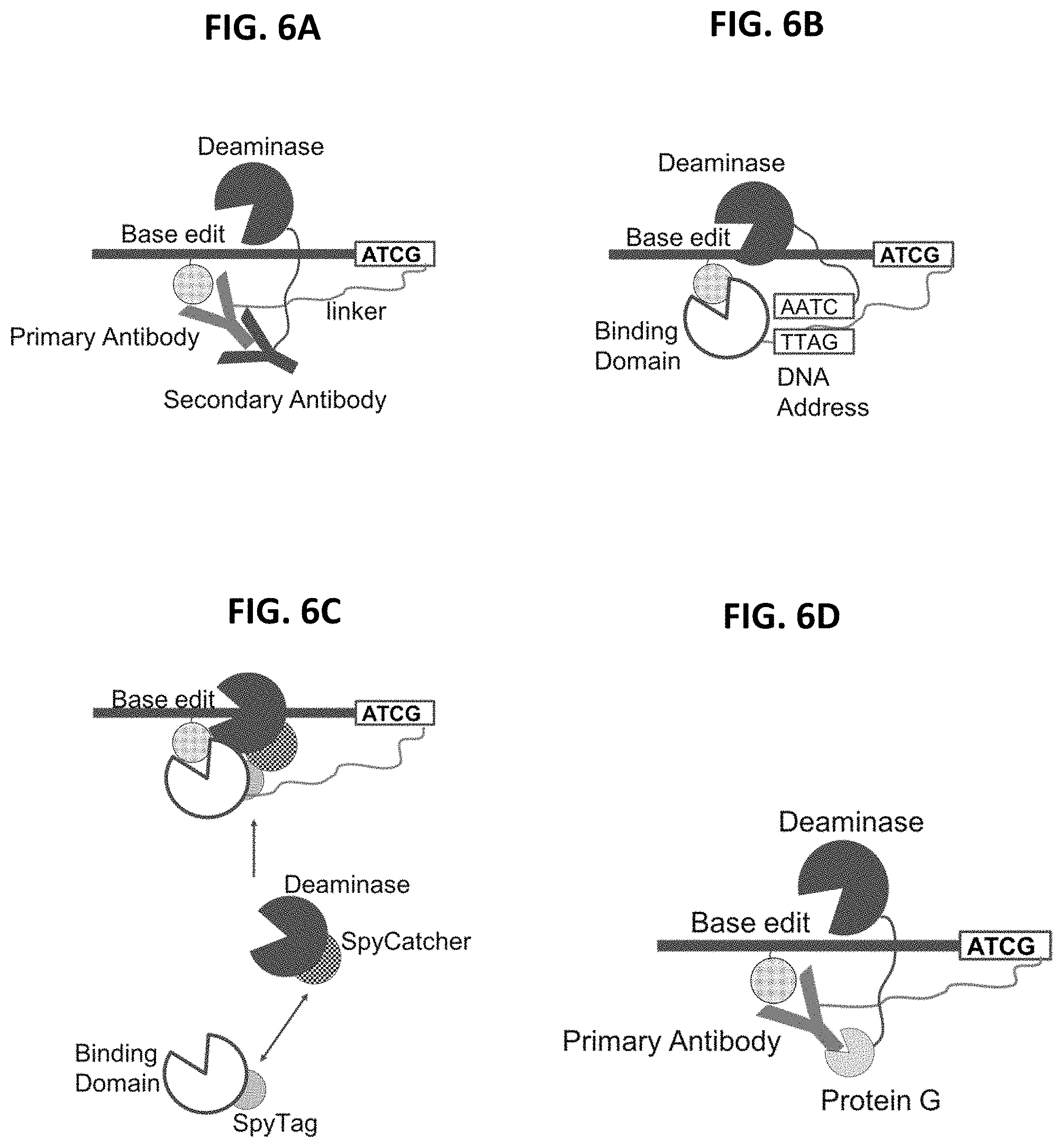 Patent US11773425 Figure 6 – Multiplexed profiling of RNA and DNA modifications