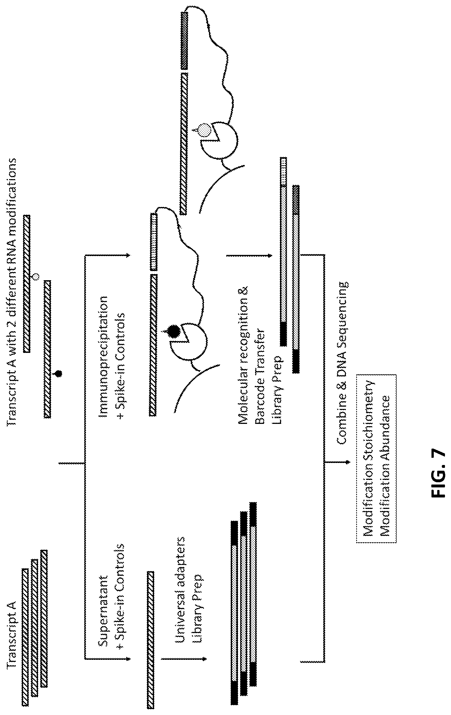 Patent US11773425 Figure 7 – Multiplexed profiling of RNA and DNA modifications