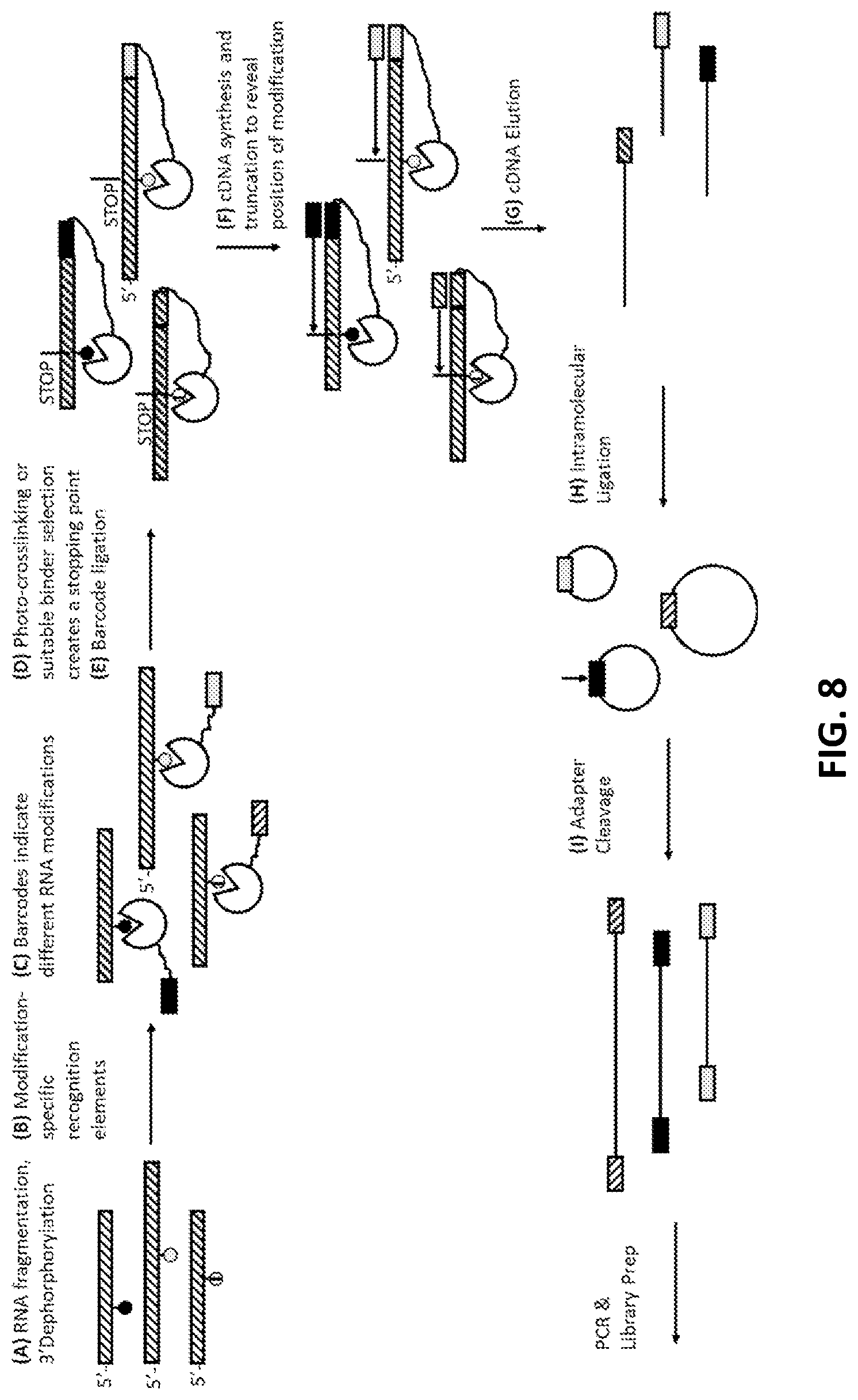 Patent US11773425 Figure 8 – Multiplexed profiling of RNA and DNA modifications