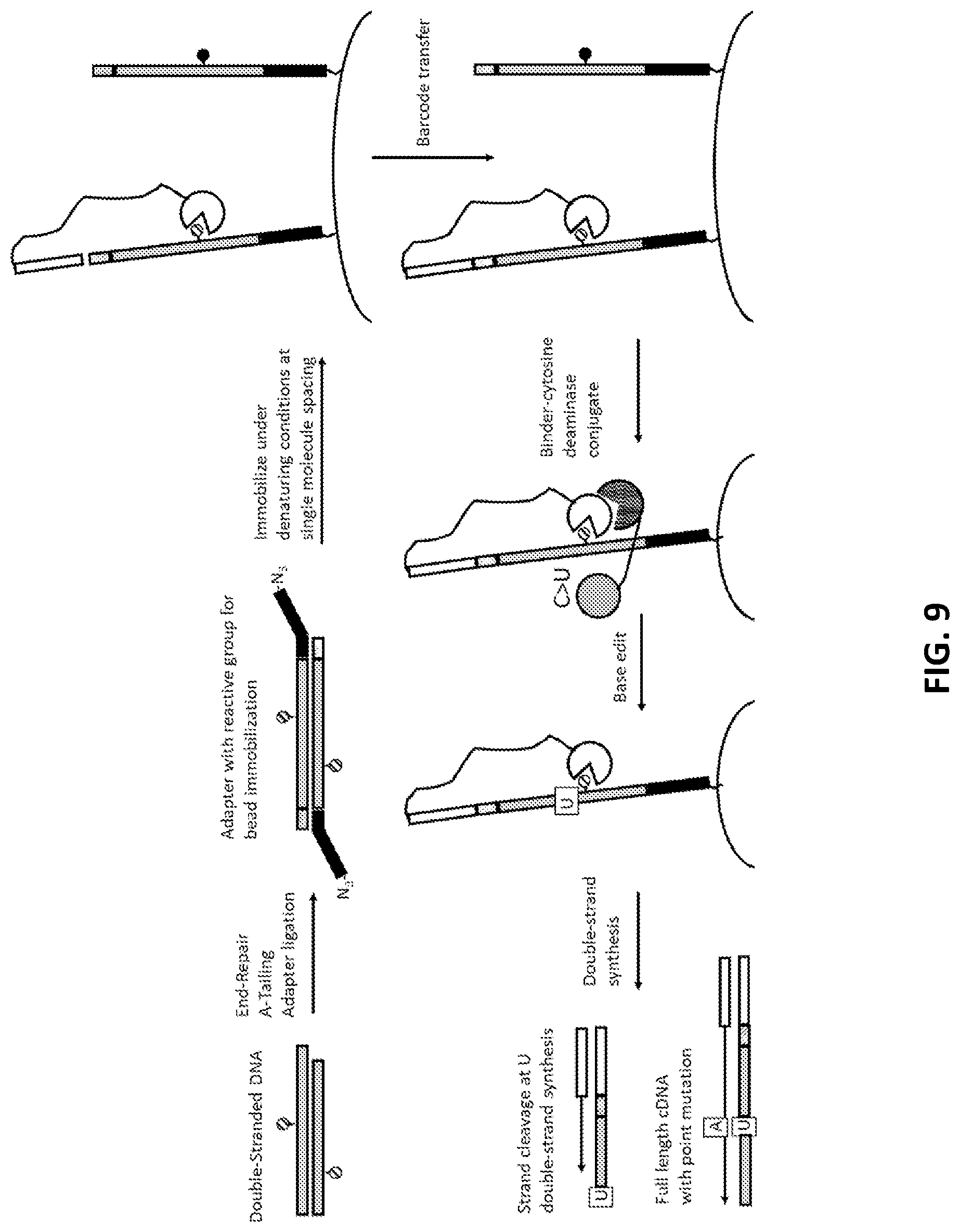 Patent US11773425 Figure 9 – Multiplexed profiling of RNA and DNA modifications