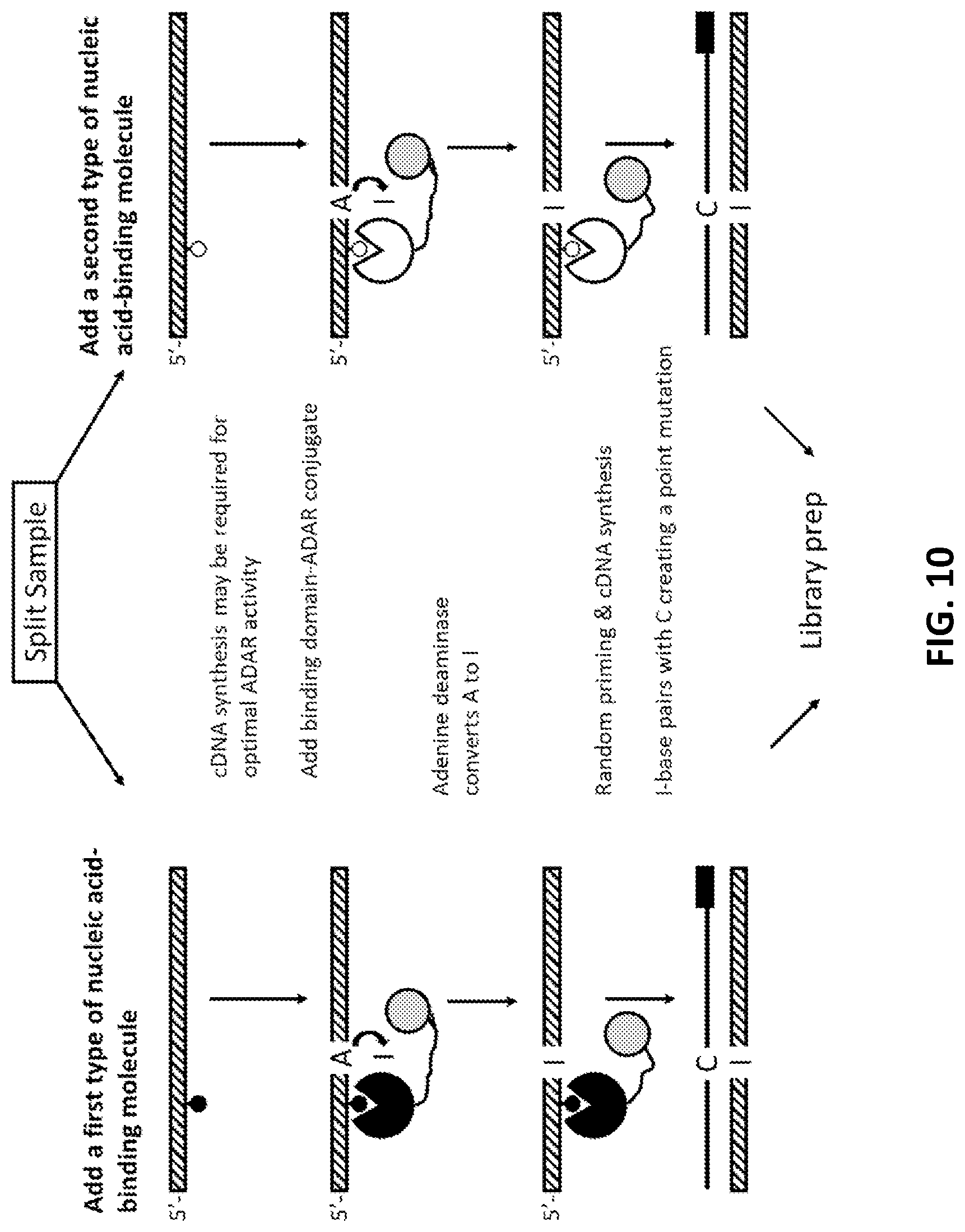 Patent US11773425 Figure 10 – Multiplexed profiling of RNA and DNA modifications