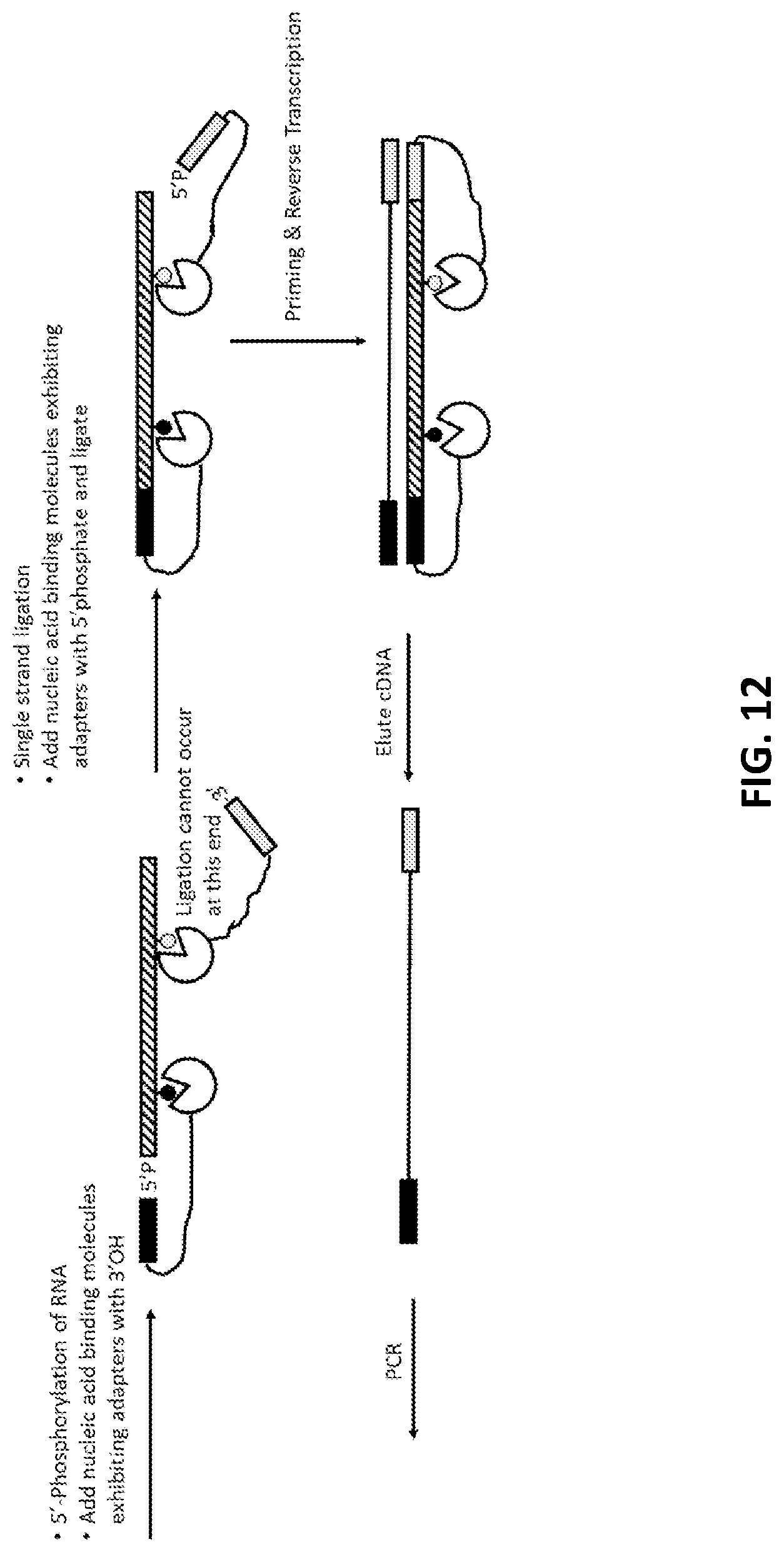 Patent US11773425 Figure 12 – Multiplexed profiling of RNA and DNA modifications