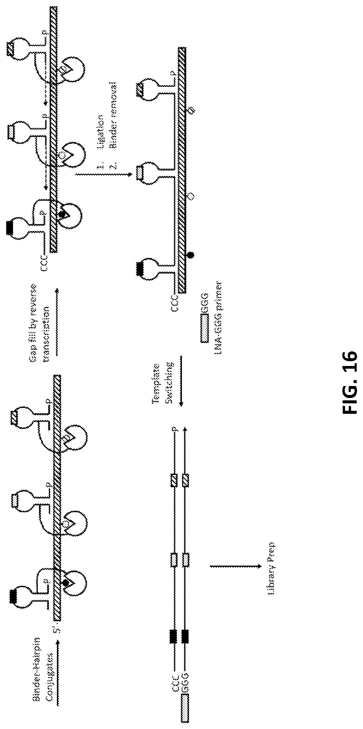 Patent US11773425 Figure 17 – Multiplexed profiling of RNA and DNA modifications
