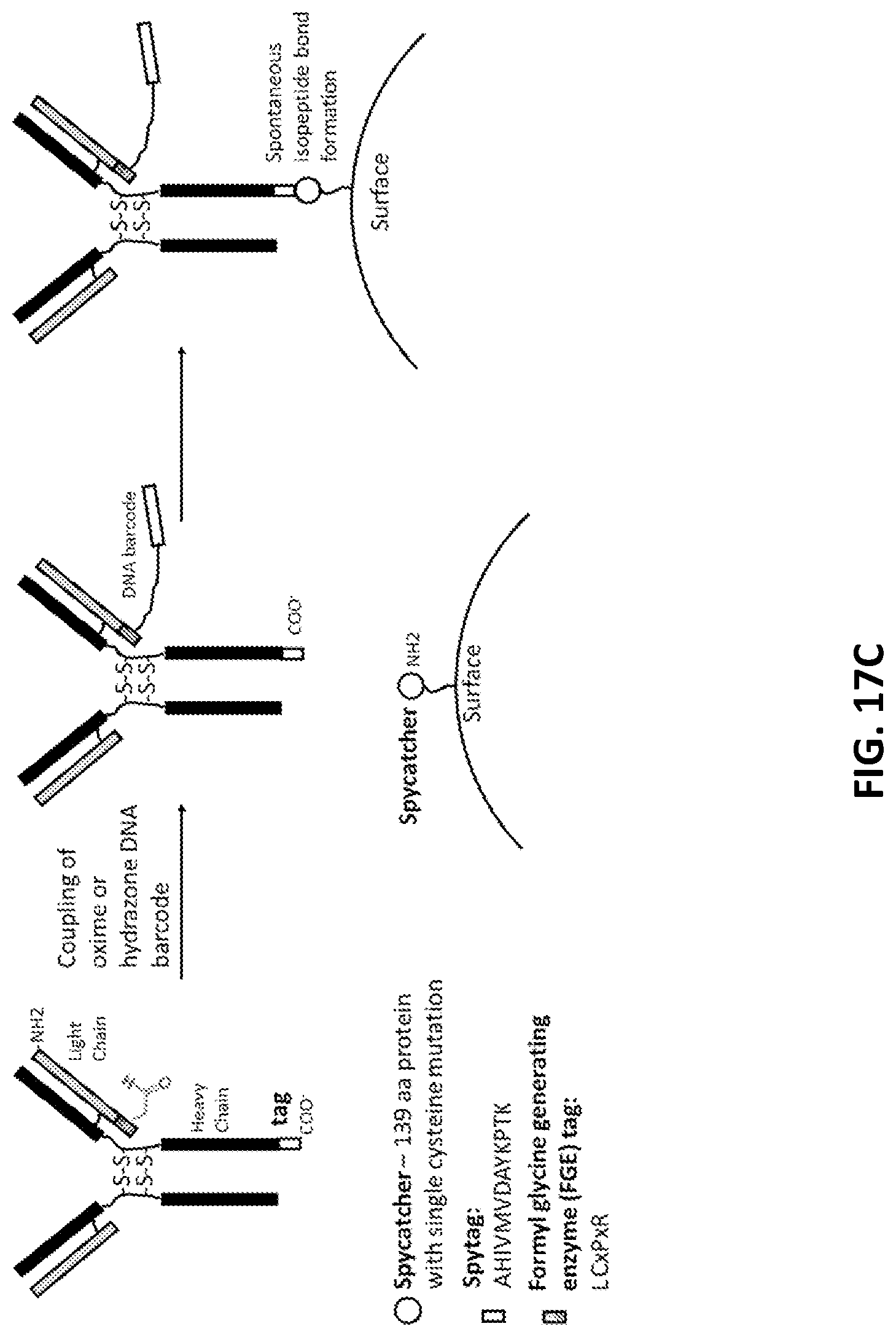 Patent US11773425 Figure 19 – Multiplexed profiling of RNA and DNA modifications