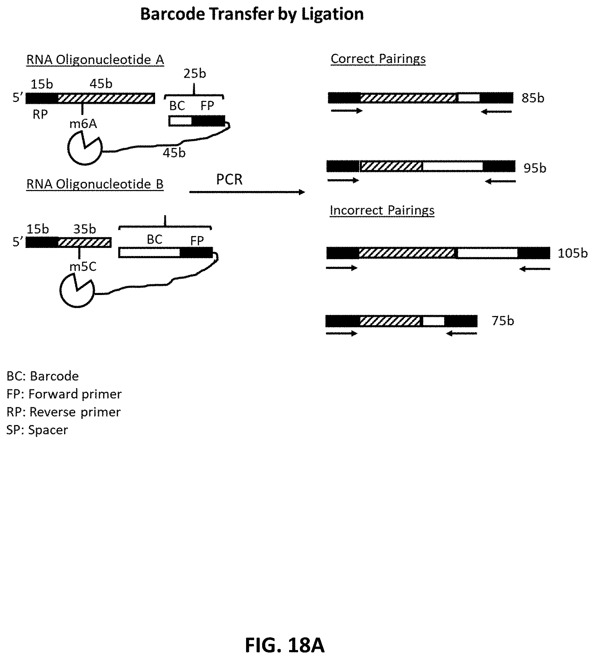Patent US11773425 Figure 20 – Multiplexed profiling of RNA and DNA modifications
