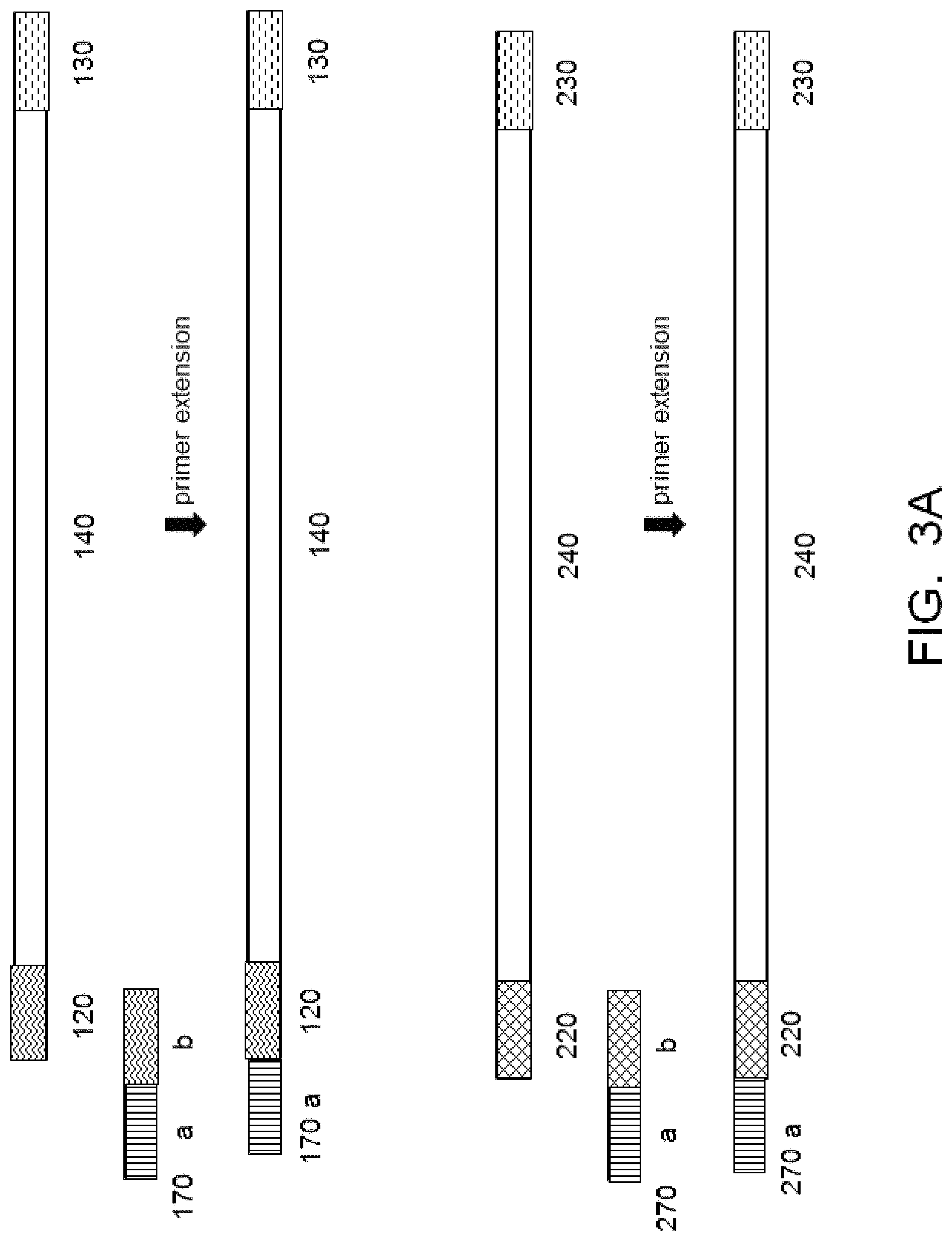 Patent US11773426 Figure 3 – Multiplex nucleic acid amplification