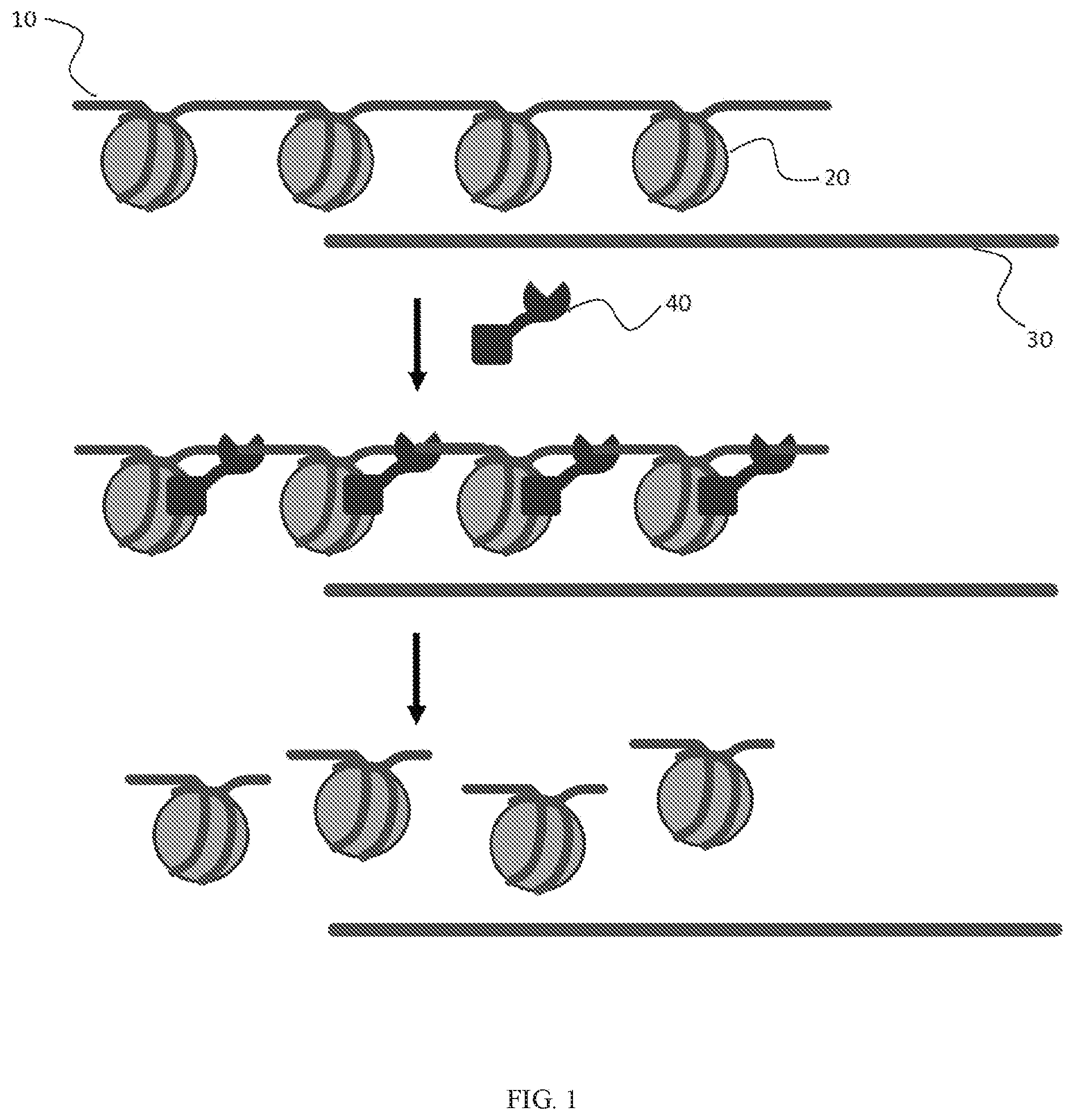 Patent US11773427 Figure 1 – Methods and compositions for selective cleavage of nucleic acids with recombinant nucleases