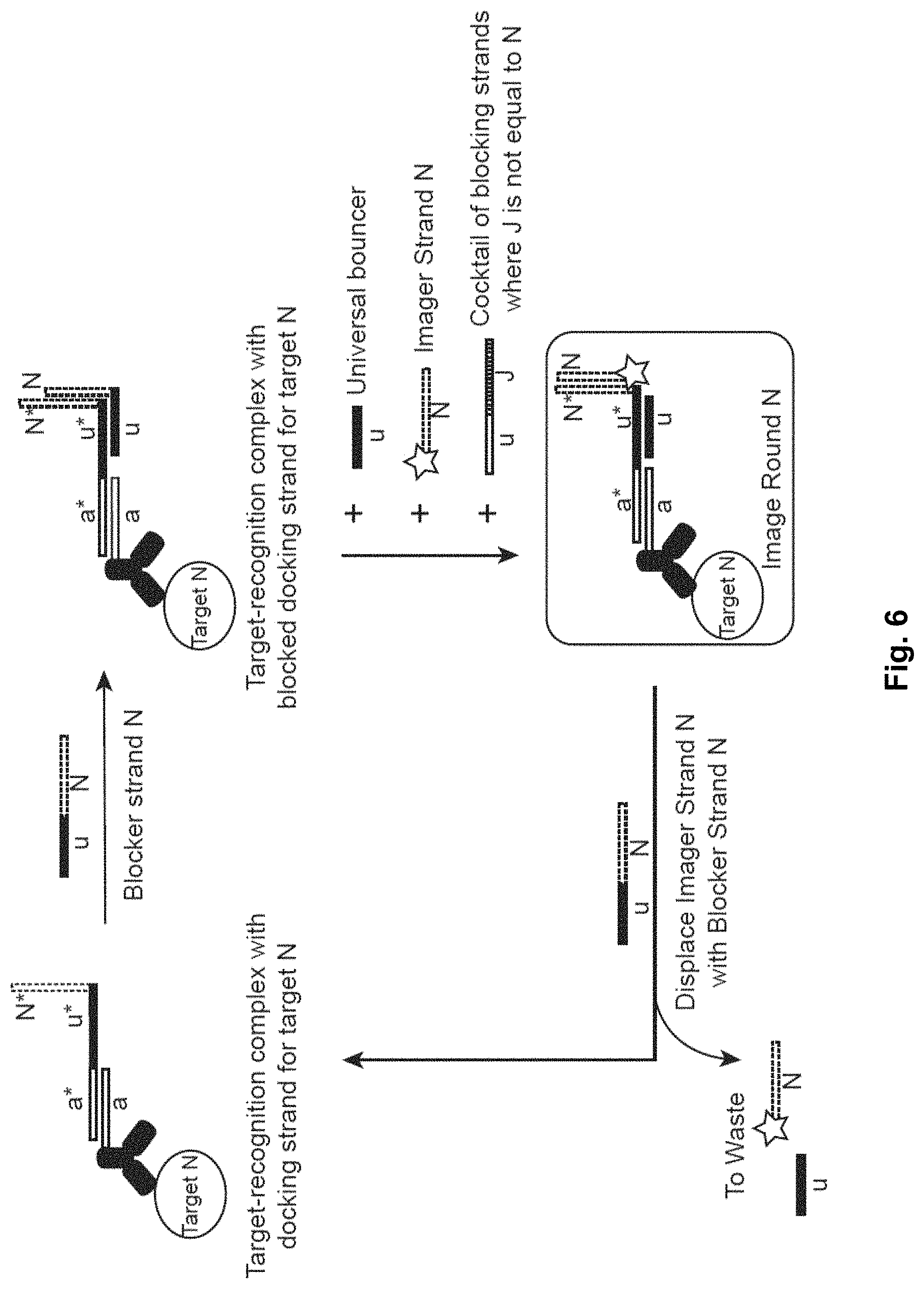 Patent US11773428 Figure 6 – Multiplexed imaging using strand displacement