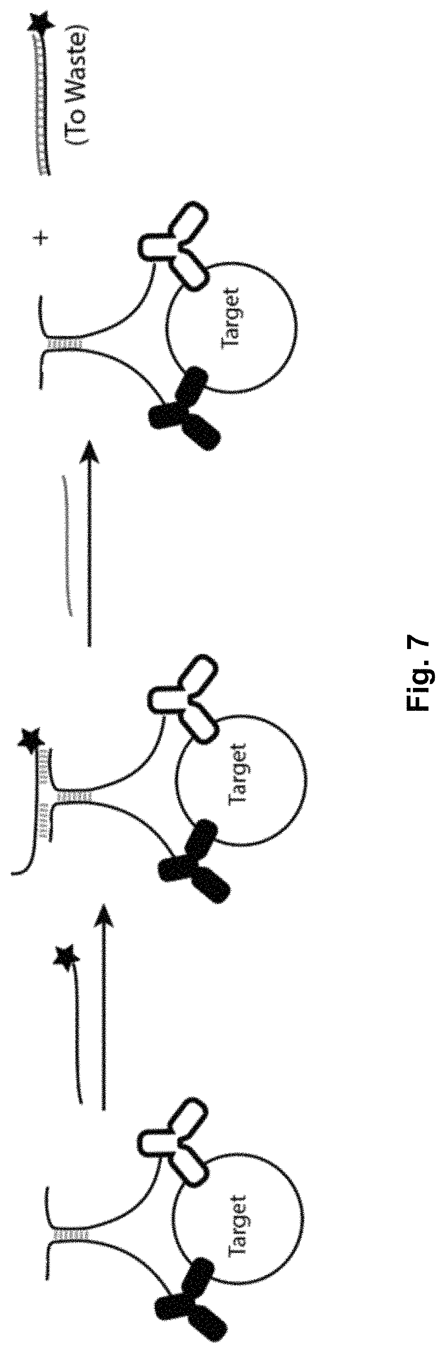 Patent US11773428 Figure 7 – Multiplexed imaging using strand displacement