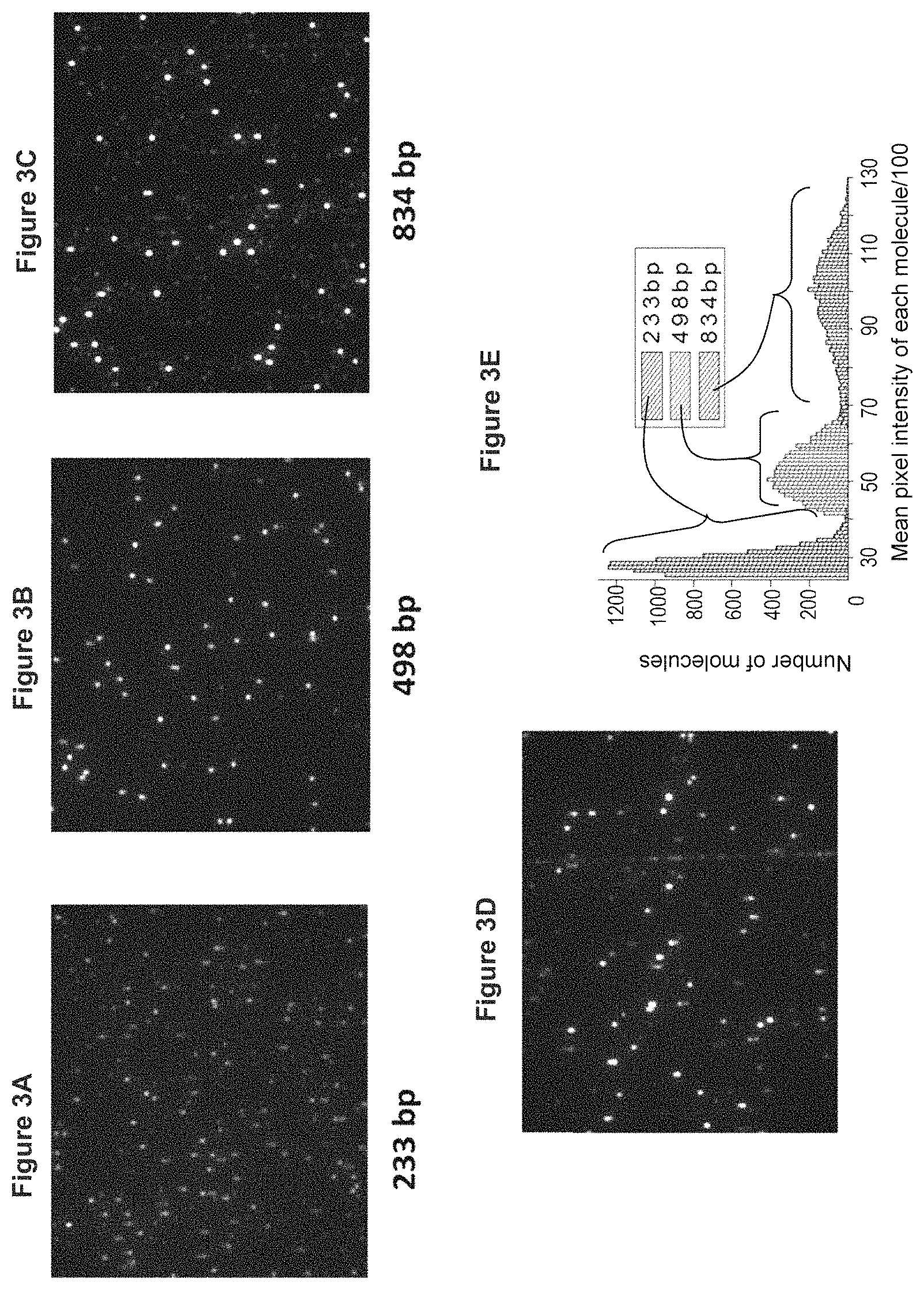 Patent US11773429 Figure 3 – Reduction of bias in genomic coverage measurements
