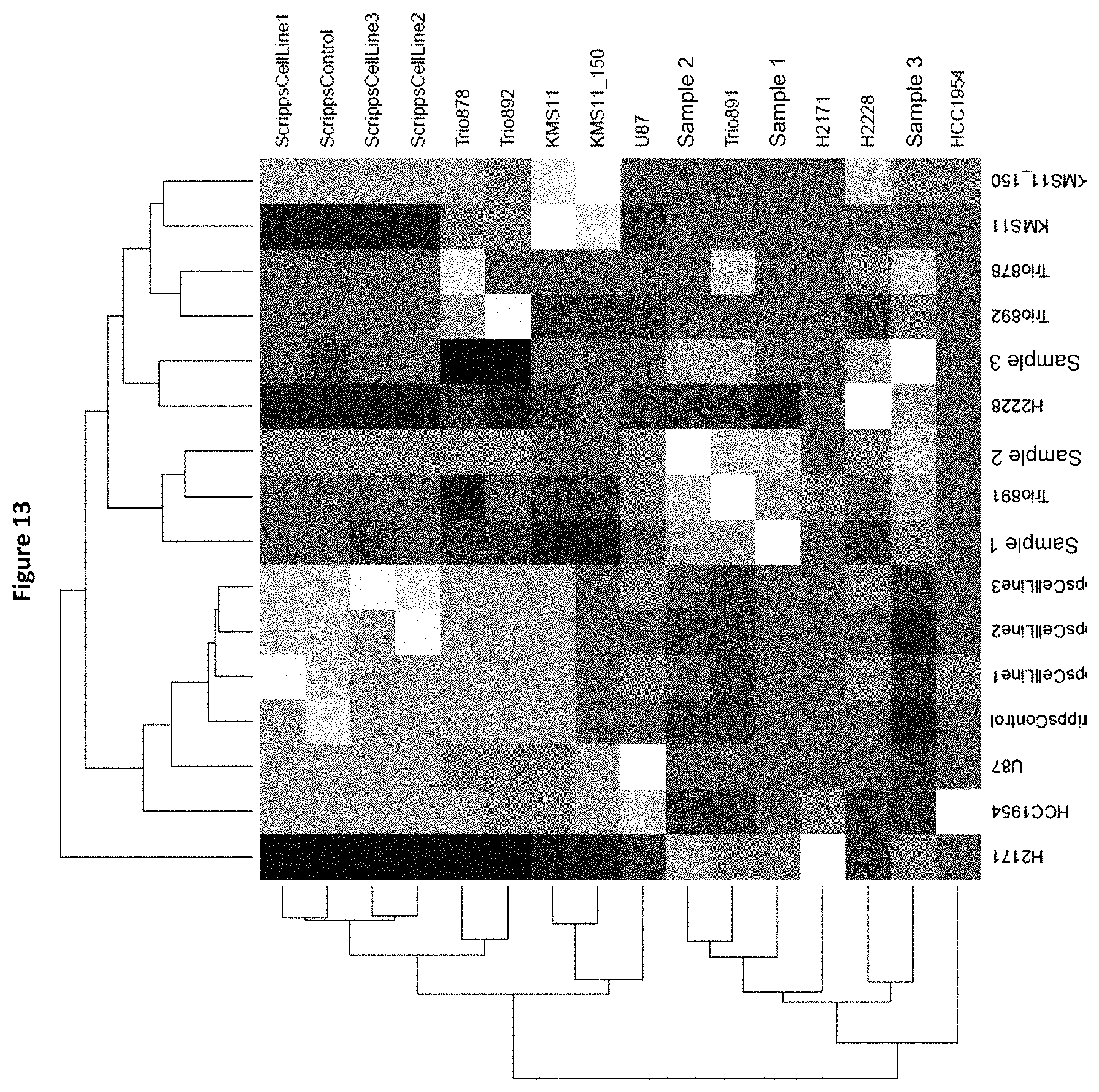 Patent US11773429 Figure 14 – Reduction of bias in genomic coverage measurements