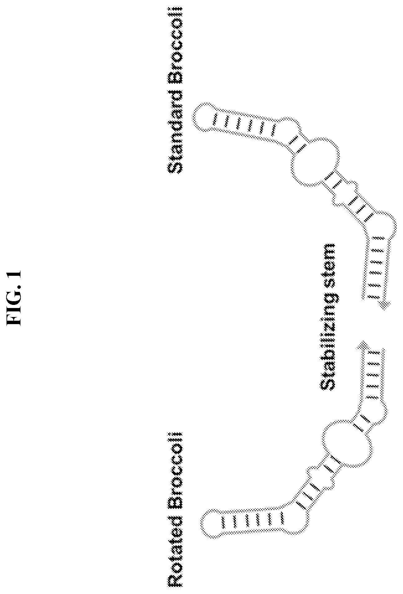 Patent US11773430 Figure 1 – Unimolecular aptamer-based sensors for pathogen detection