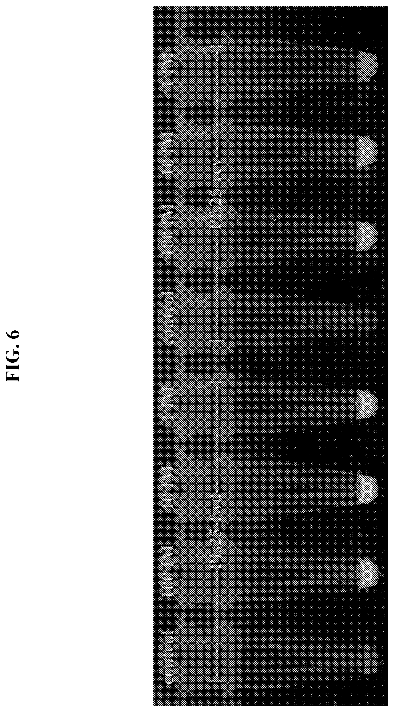 Patent US11773430 Figure 12 – Unimolecular aptamer-based sensors for pathogen detection