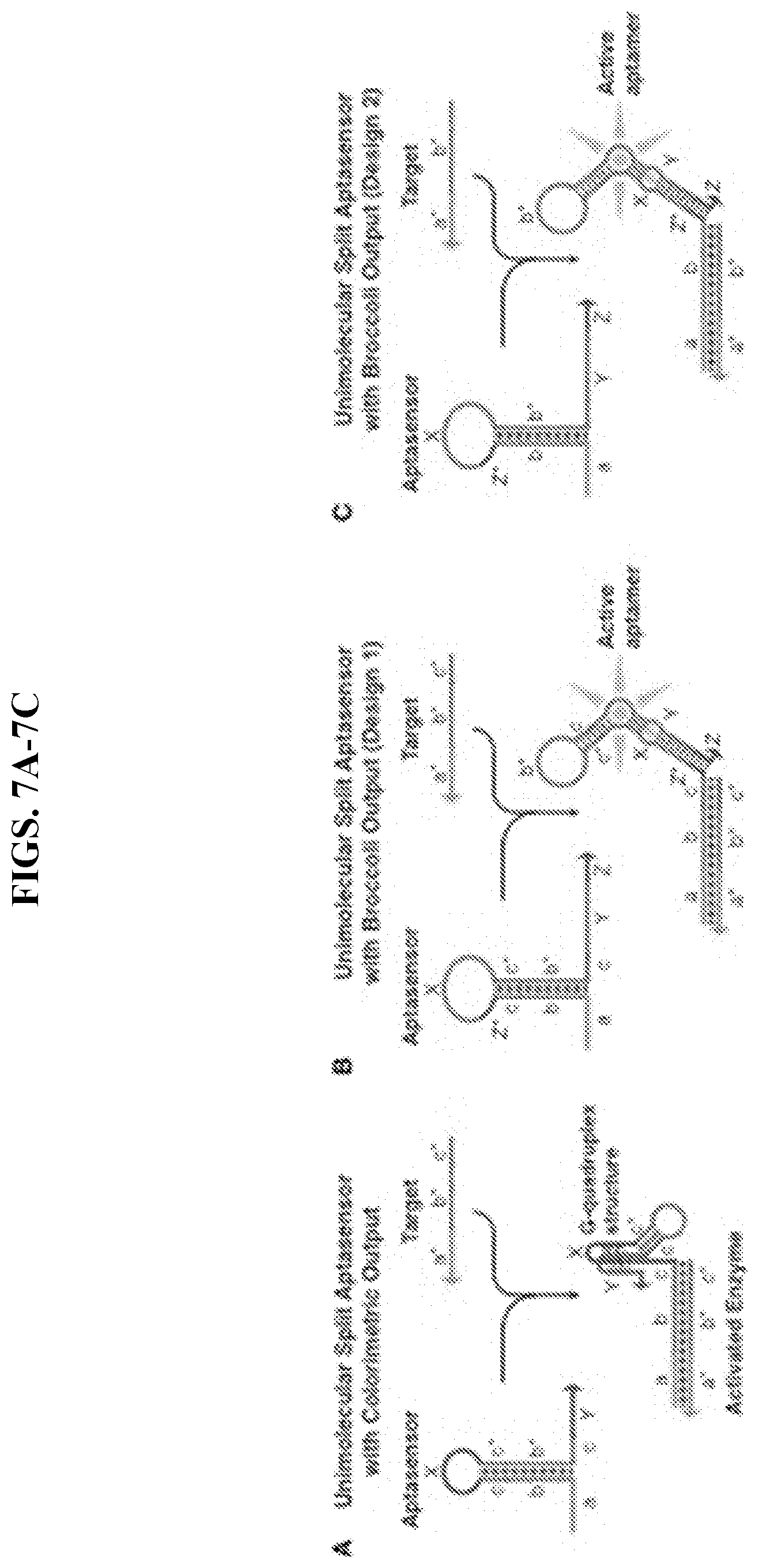 Patent US11773430 Figure 13 – Unimolecular aptamer-based sensors for pathogen detection
