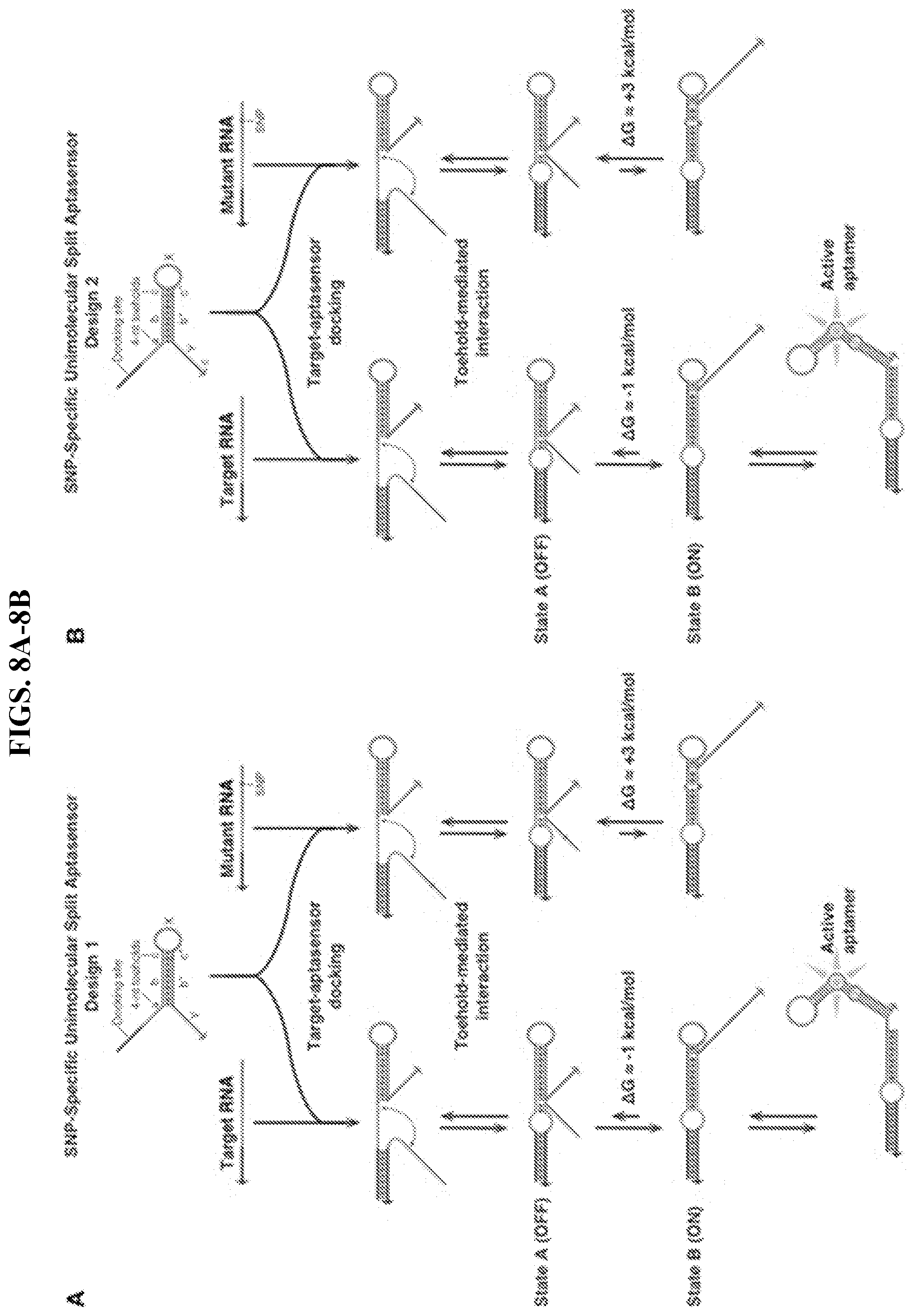 Patent US11773430 Figure 14 – Unimolecular aptamer-based sensors for pathogen detection