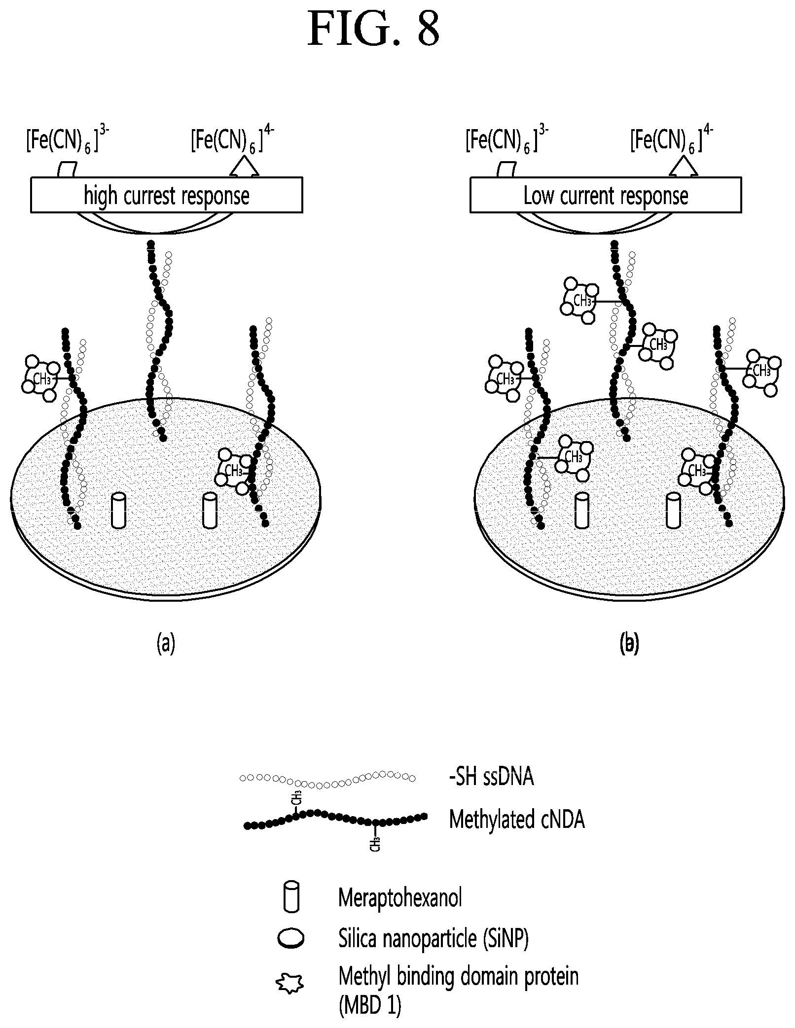 Patent US11773431 Figure 7 – Diagnostic kit, diagnostic method, and diagnostic apparatus