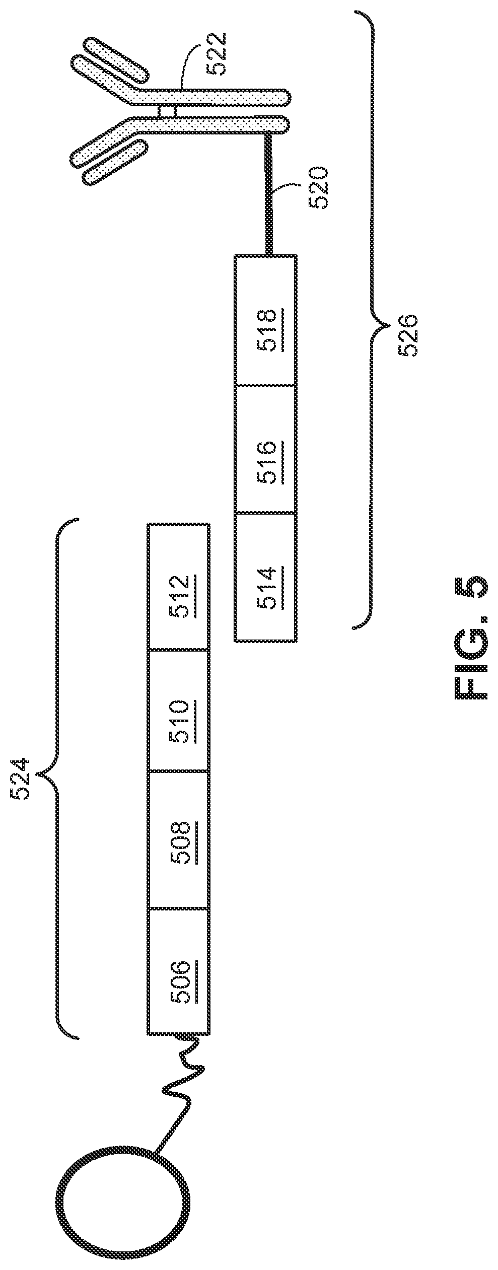 Patent US11773433 Figure 5 – Methods for spatial analysis using targeted RNA depletion