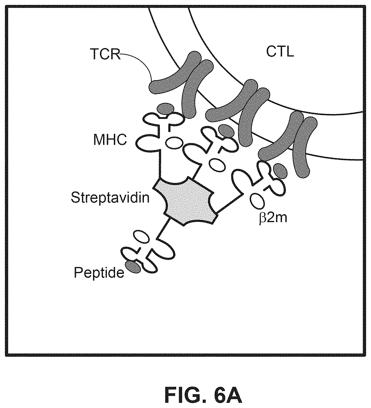 Patent US11773433 Figure 6 – Methods for spatial analysis using targeted RNA depletion