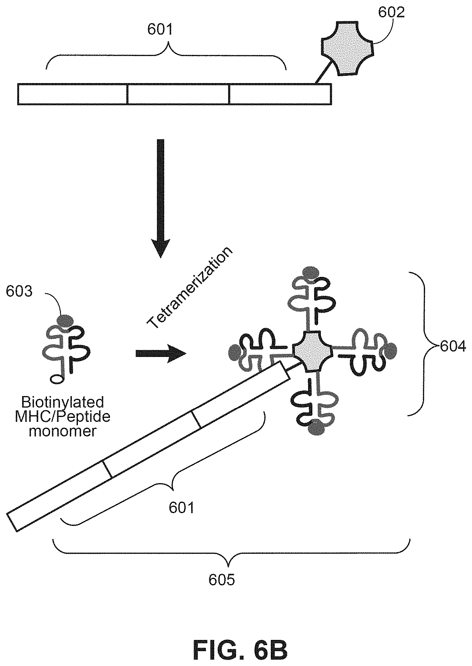 Patent US11773433 Figure 7 – Methods for spatial analysis using targeted RNA depletion