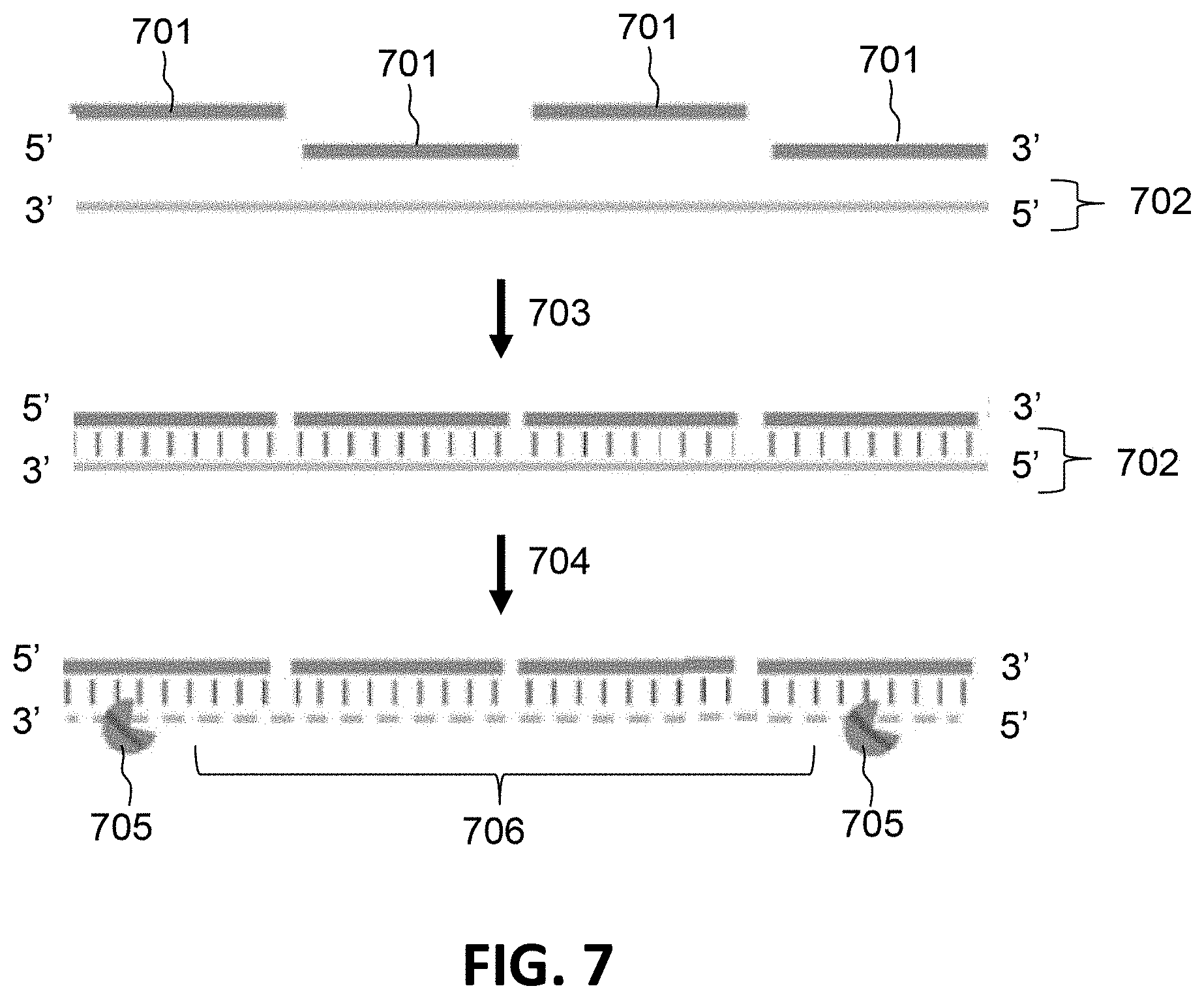 Patent US11773433 Figure 9 – Methods for spatial analysis using targeted RNA depletion