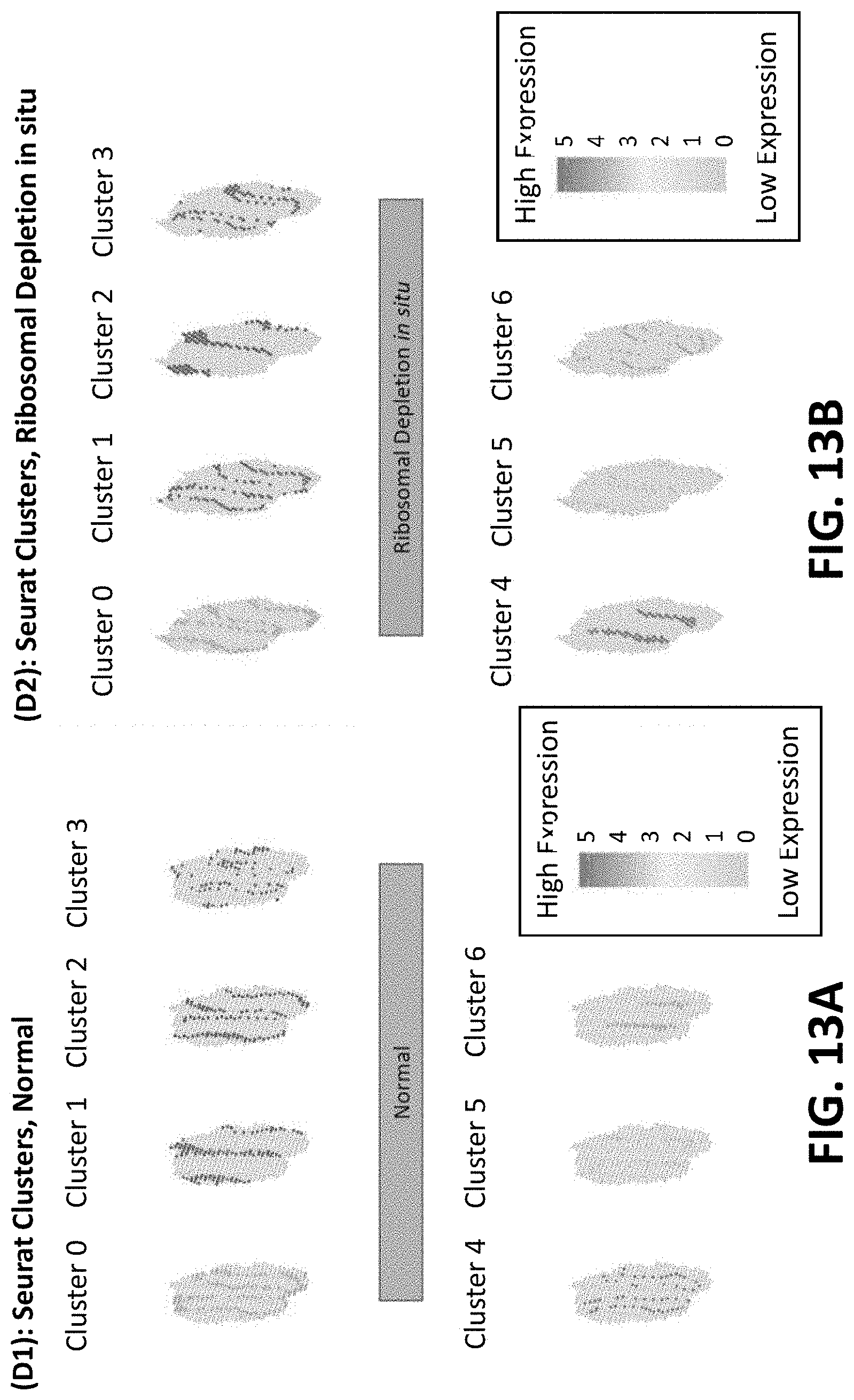 Patent US11773433 Figure 19 – Methods for spatial analysis using targeted RNA depletion