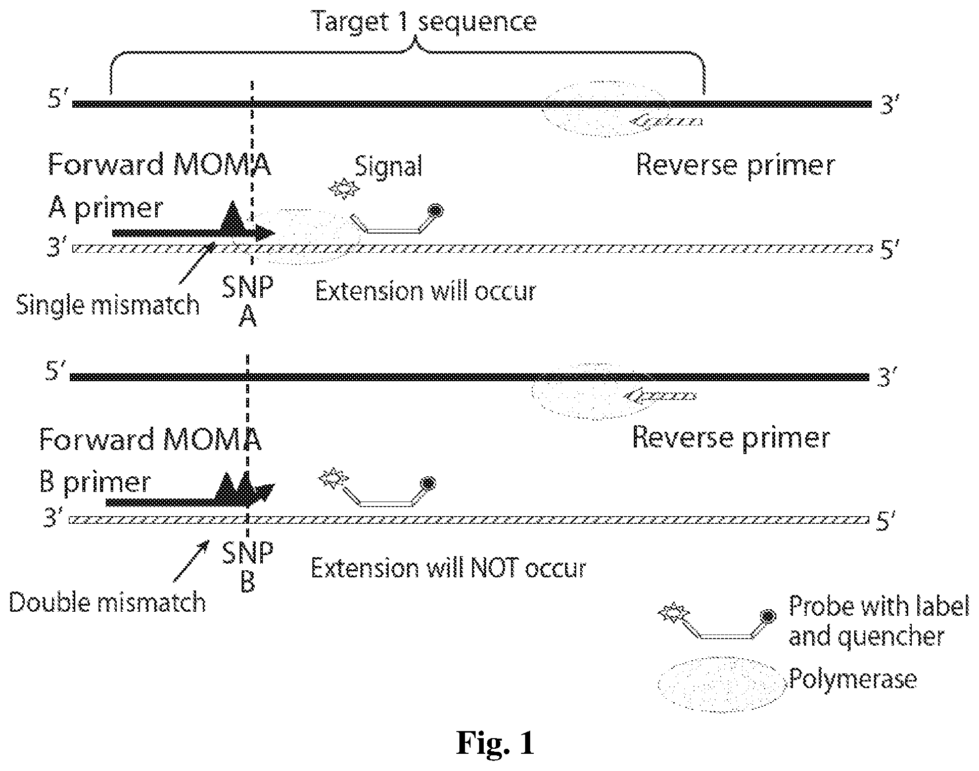 Patent US11773434 Figure 1 – Assessing transplant complication risk with total cell-free DNA