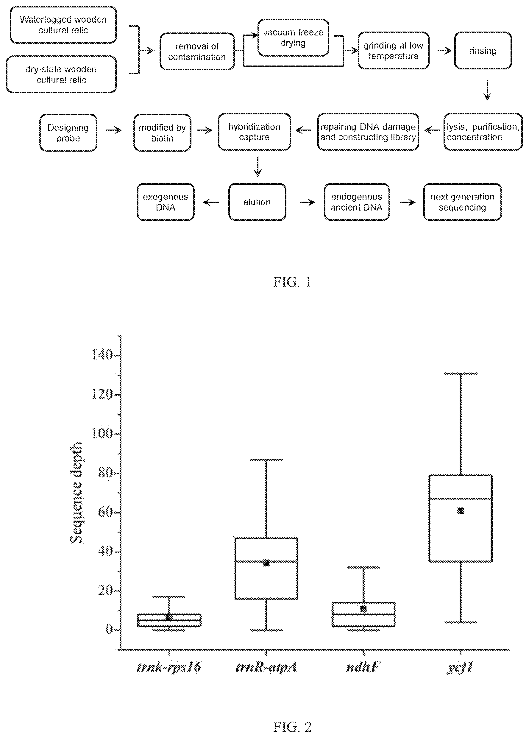 Patent US11773435 Figure 1 – Method for capturing ancient DNA of wooden cultural relic