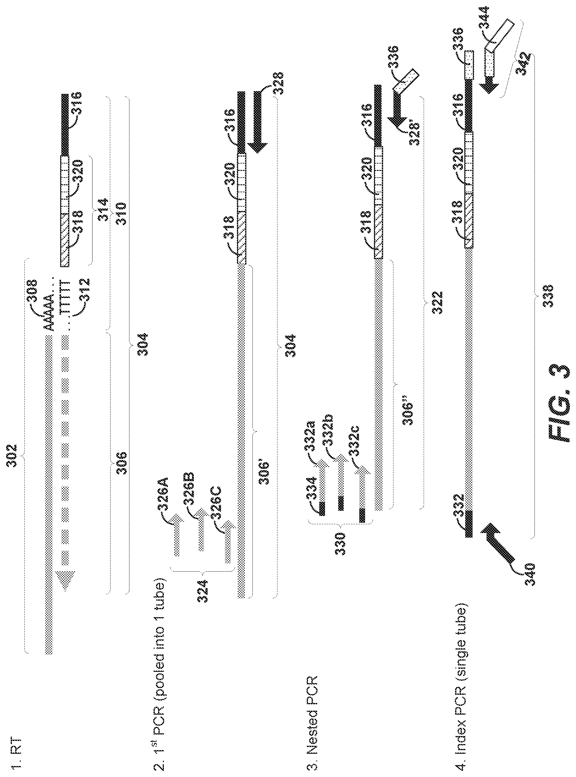 Patent US11773436 Figure 3 – Using random priming to obtain full-length V(D)J information for immune repertoire sequencing