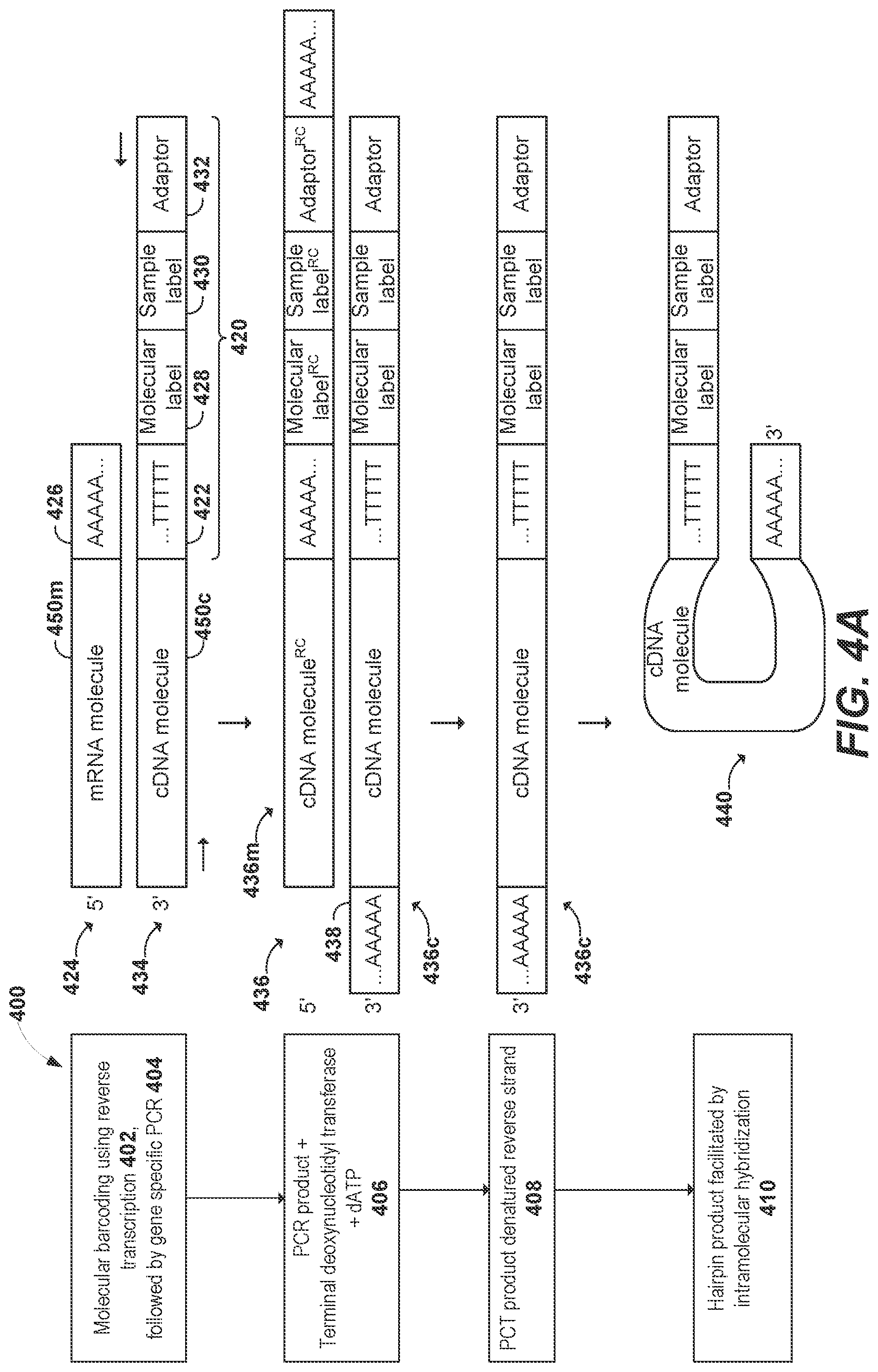 Patent US11773436 Figure 4 – Using random priming to obtain full-length V(D)J information for immune repertoire sequencing