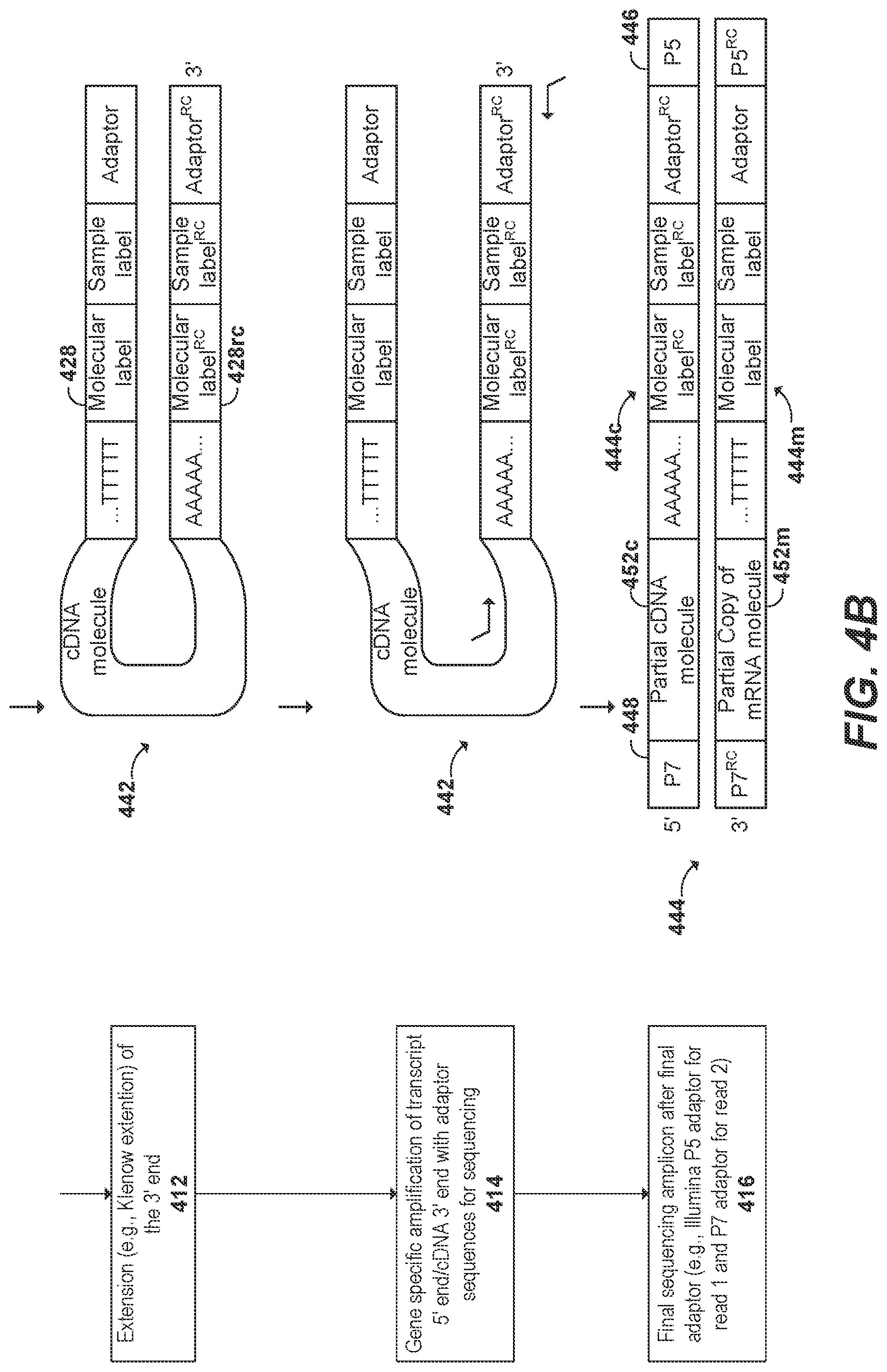 Patent US11773436 Figure 5 – Using random priming to obtain full-length V(D)J information for immune repertoire sequencing