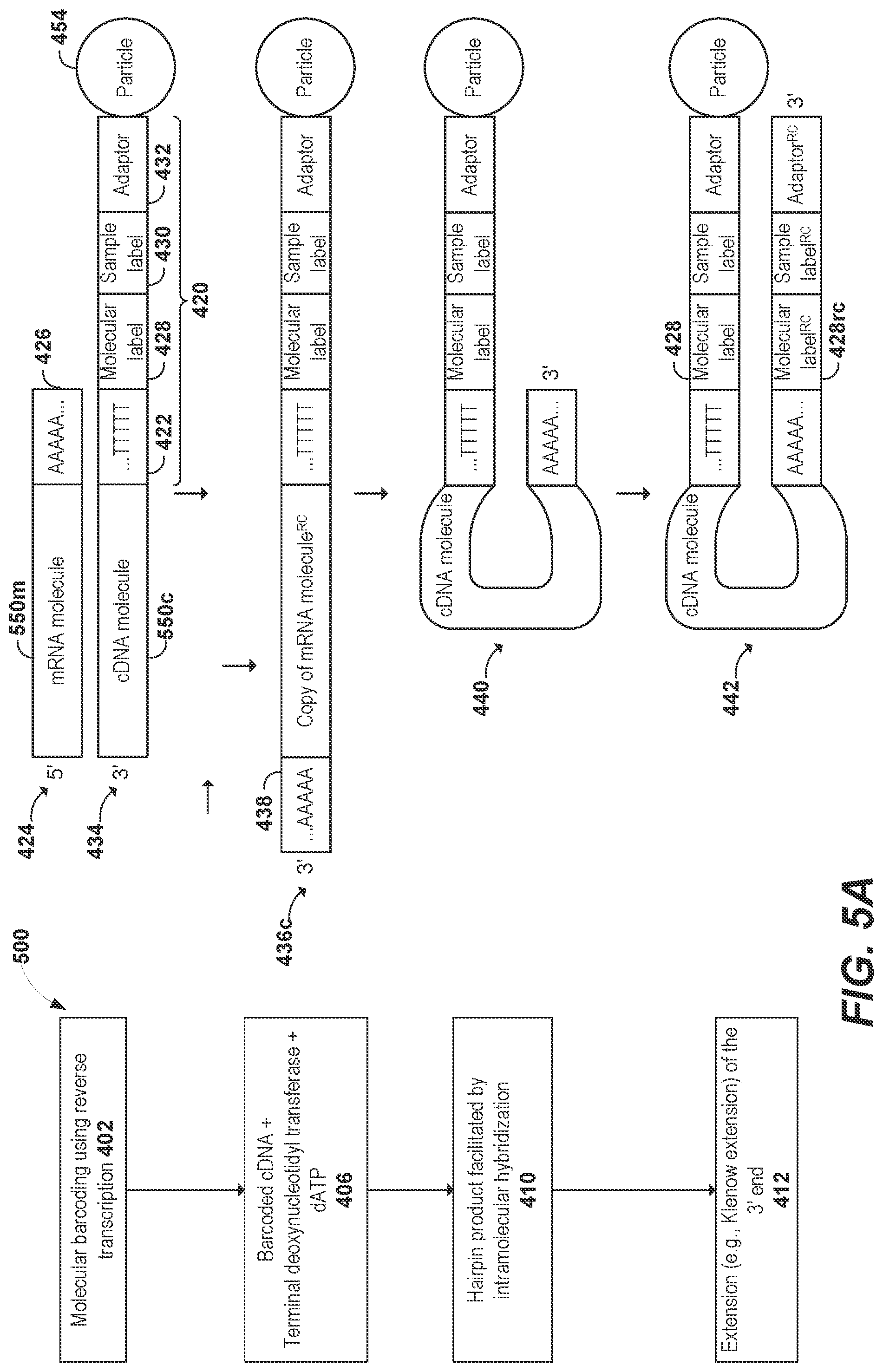 Patent US11773436 Figure 6 – Using random priming to obtain full-length V(D)J information for immune repertoire sequencing