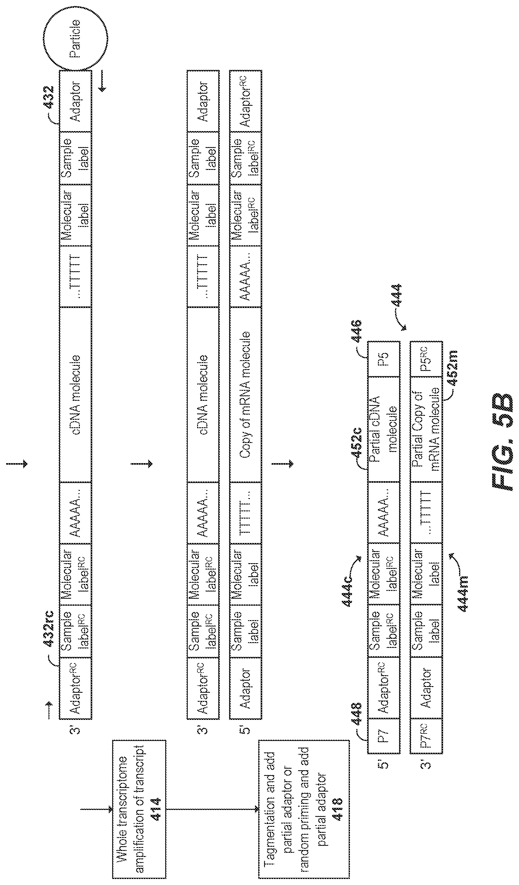 Patent US11773436 Figure 7 – Using random priming to obtain full-length V(D)J information for immune repertoire sequencing