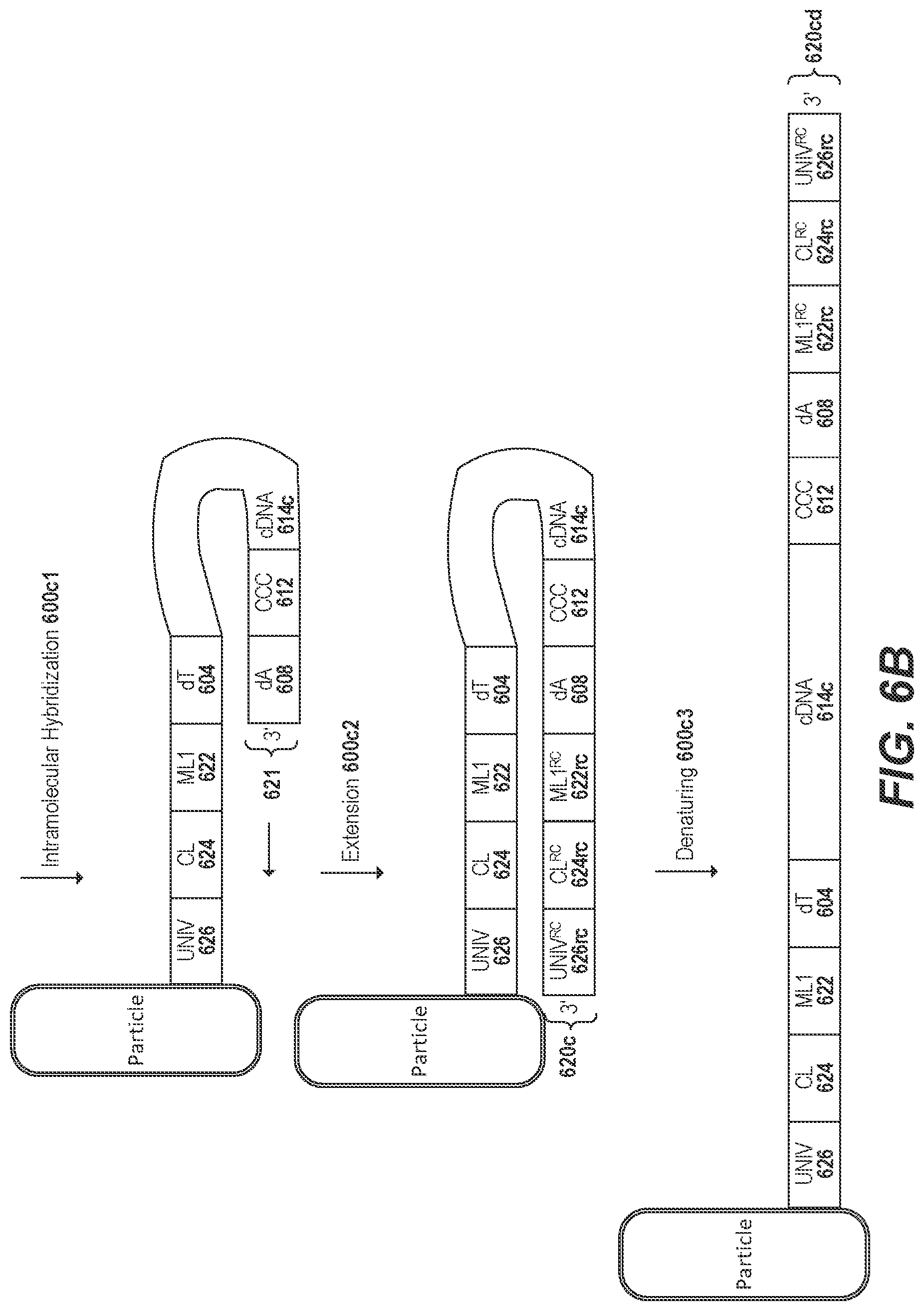 Patent US11773436 Figure 9 – Using random priming to obtain full-length V(D)J information for immune repertoire sequencing