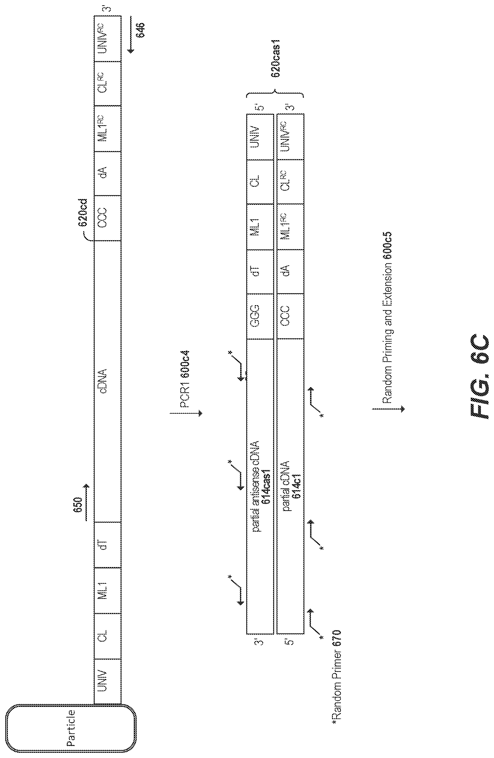 Patent US11773436 Figure 10 – Using random priming to obtain full-length V(D)J information for immune repertoire sequencing