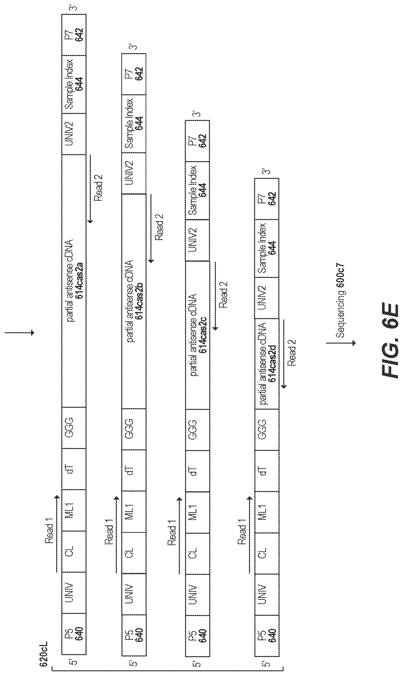 Patent US11773436 Figure 12 – Using random priming to obtain full-length V(D)J information for immune repertoire sequencing