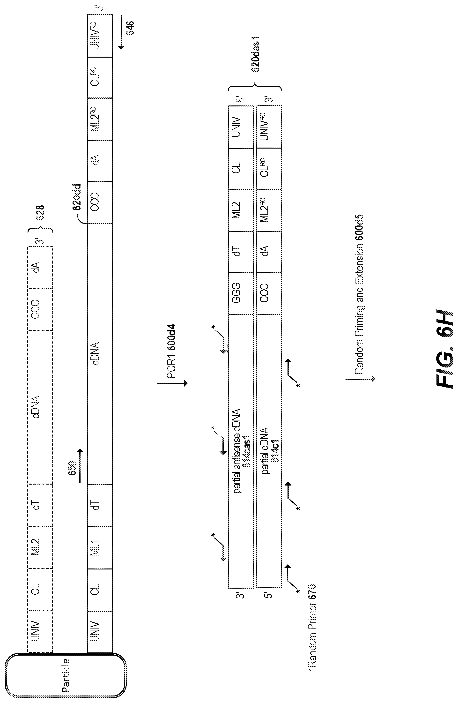 Patent US11773436 Figure 15 – Using random priming to obtain full-length V(D)J information for immune repertoire sequencing