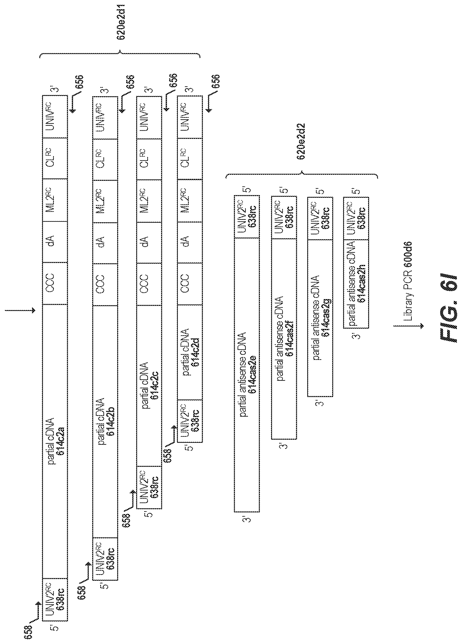 Patent US11773436 Figure 16 – Using random priming to obtain full-length V(D)J information for immune repertoire sequencing