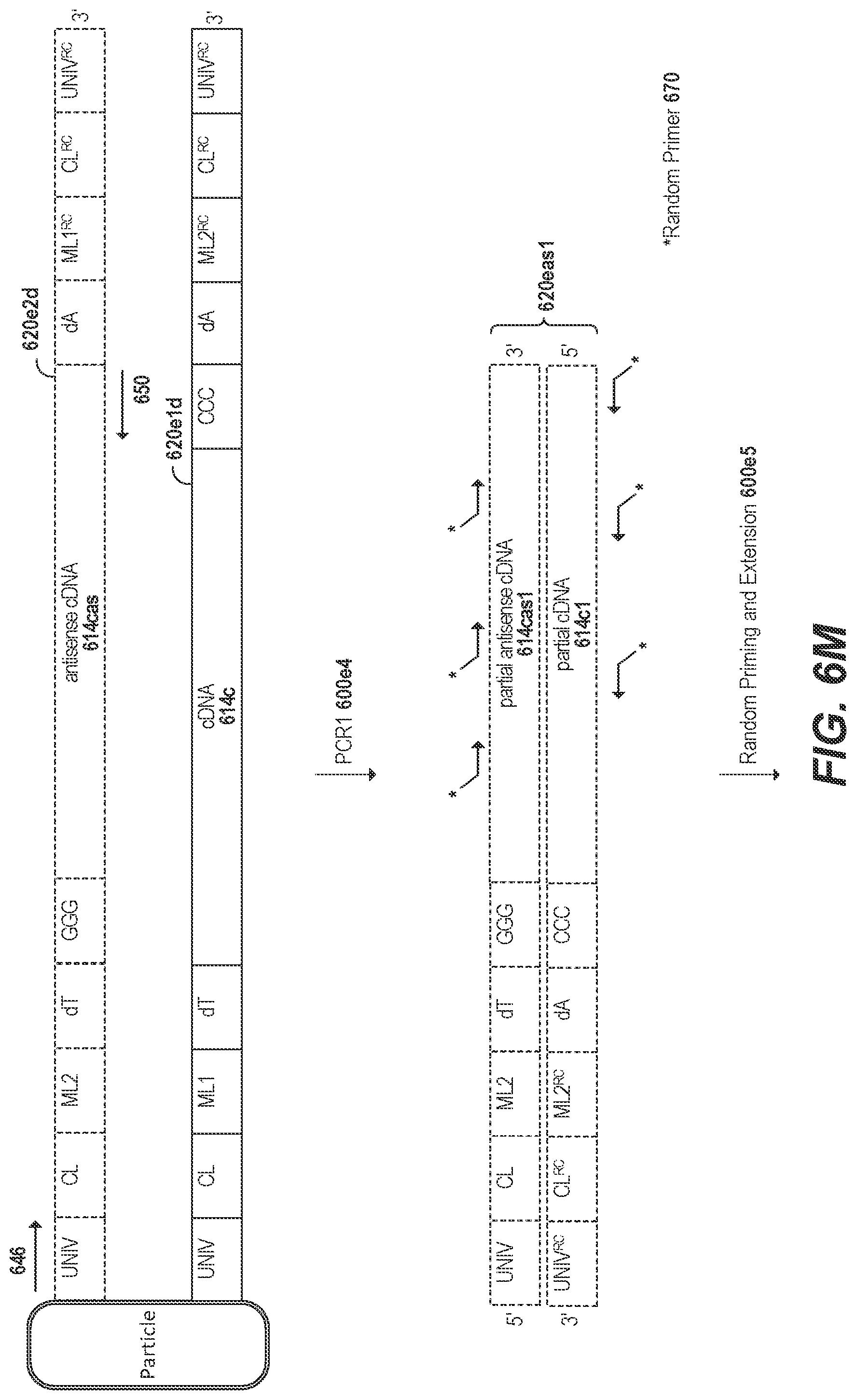 Patent US11773436 Figure 20 – Using random priming to obtain full-length V(D)J information for immune repertoire sequencing