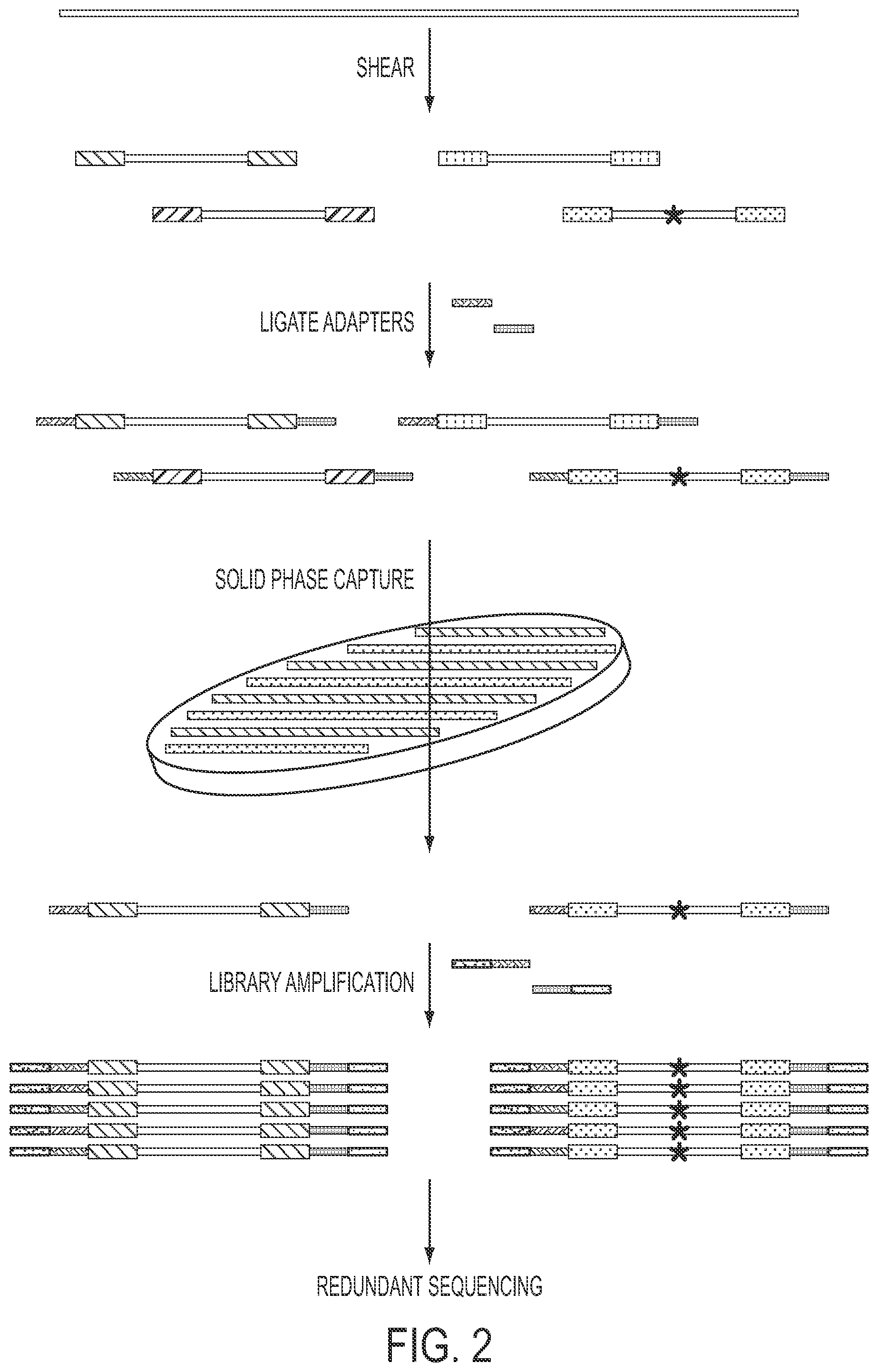 Patent US11773440 Figure 2 – Safe sequencing system