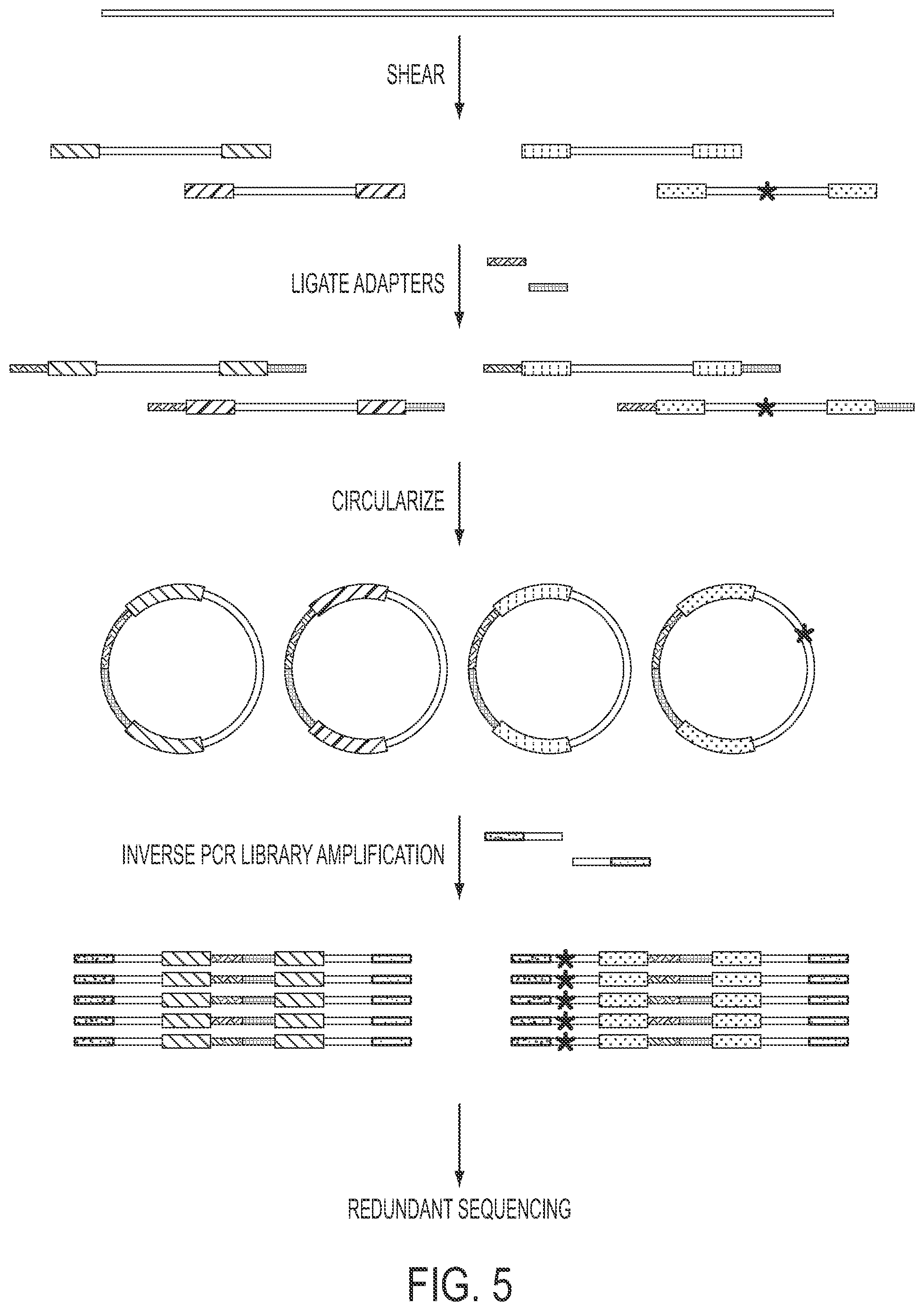 Patent US11773440 Figure 5 – Safe sequencing system