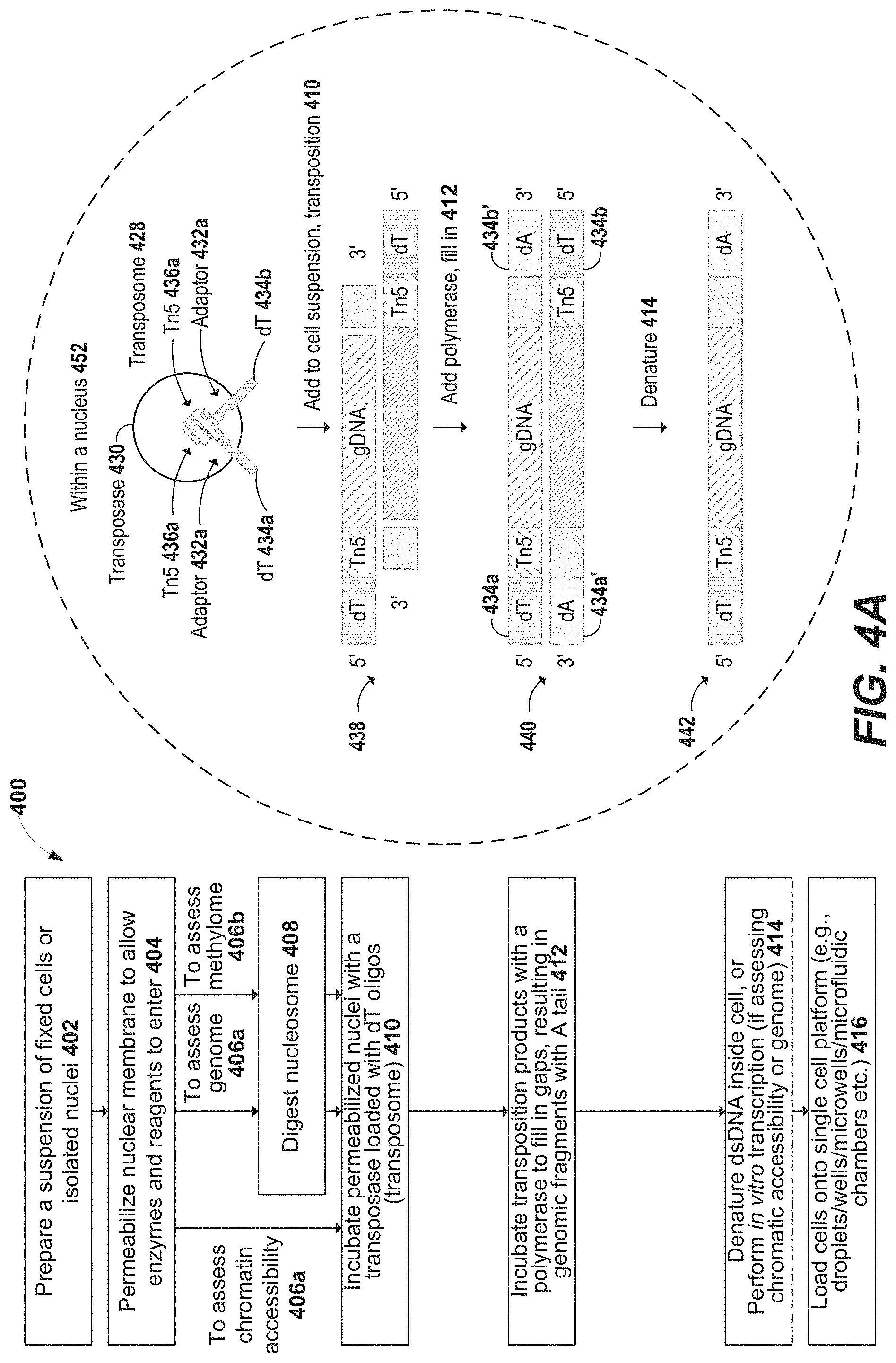 Patent US11773441 Figure 4 – High throughput multiomics sample analysis