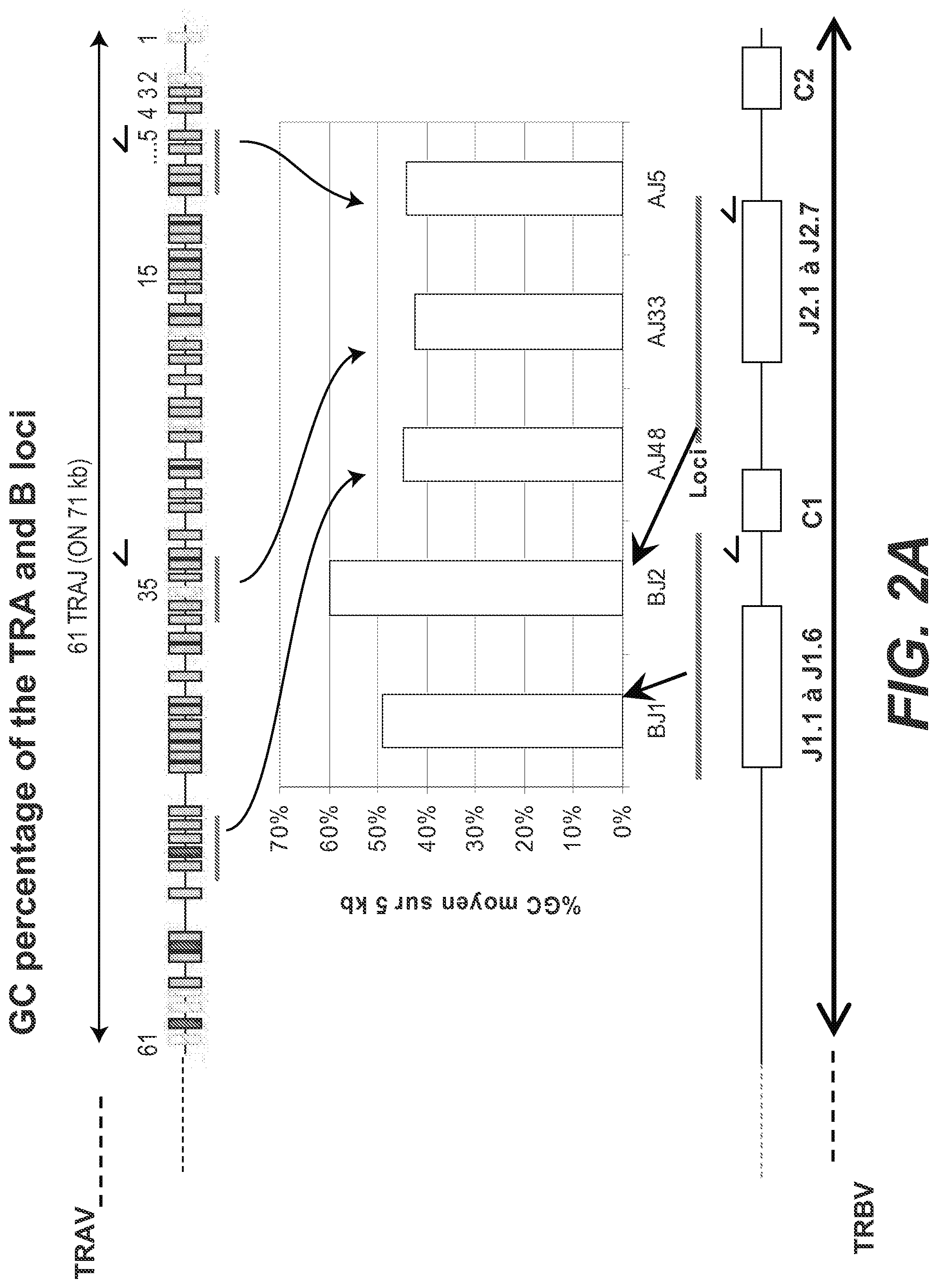 Patent US11773442 Figure 3 – Method for studying V(D)J combinatory diversity