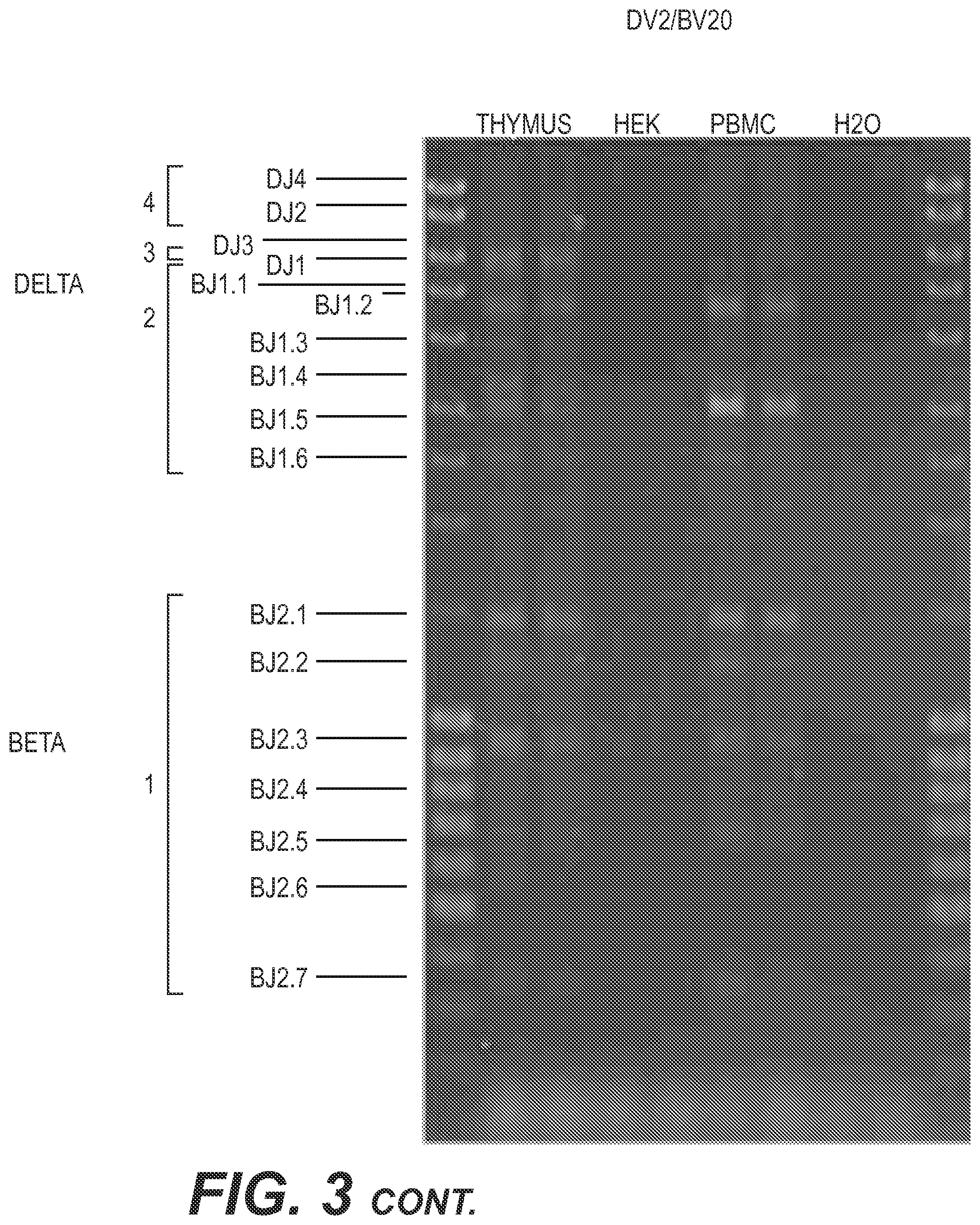 Patent US11773442 Figure 6 – Method for studying V(D)J combinatory diversity