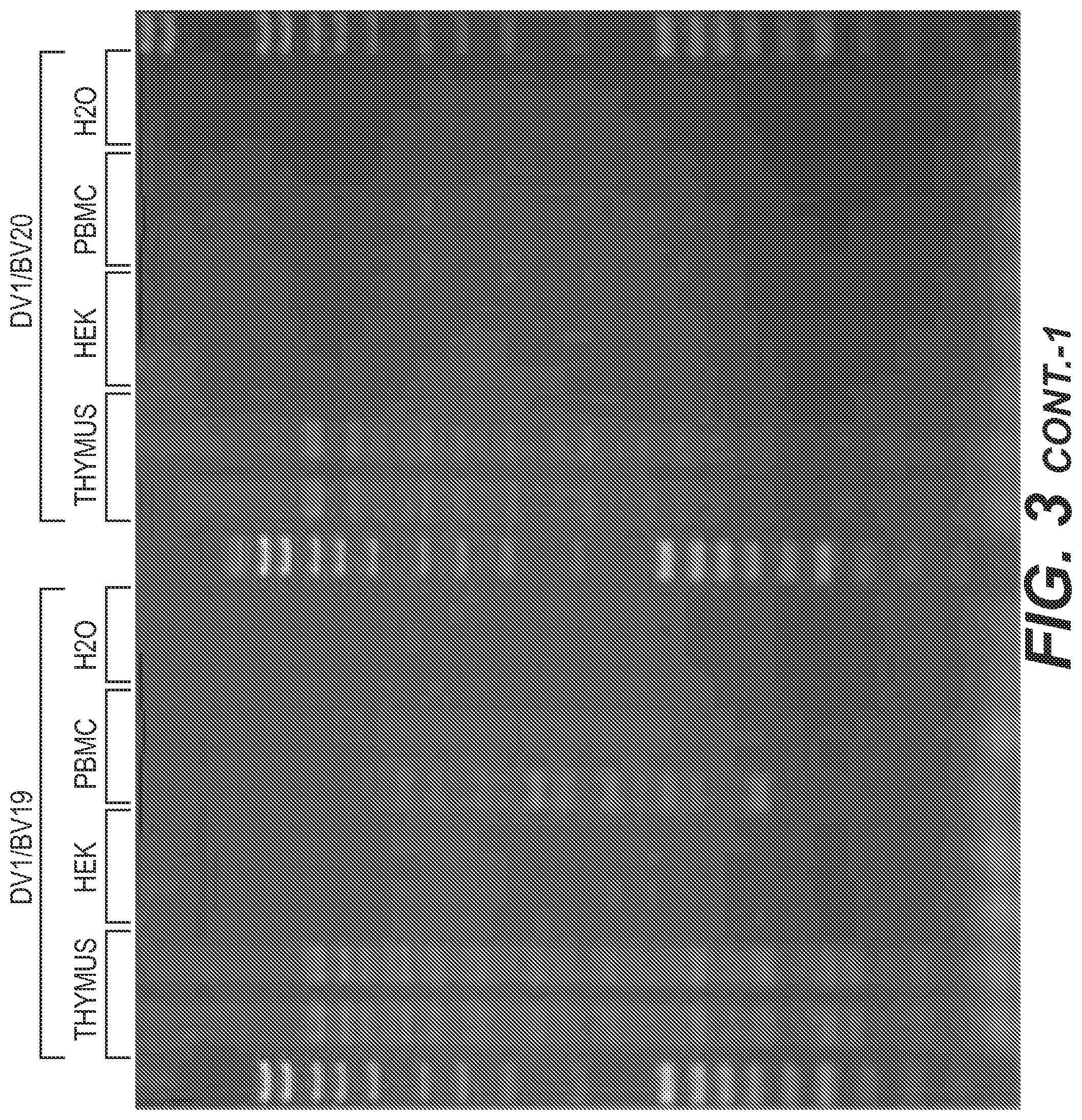 Patent US11773442 Figure 7 – Method for studying V(D)J combinatory diversity