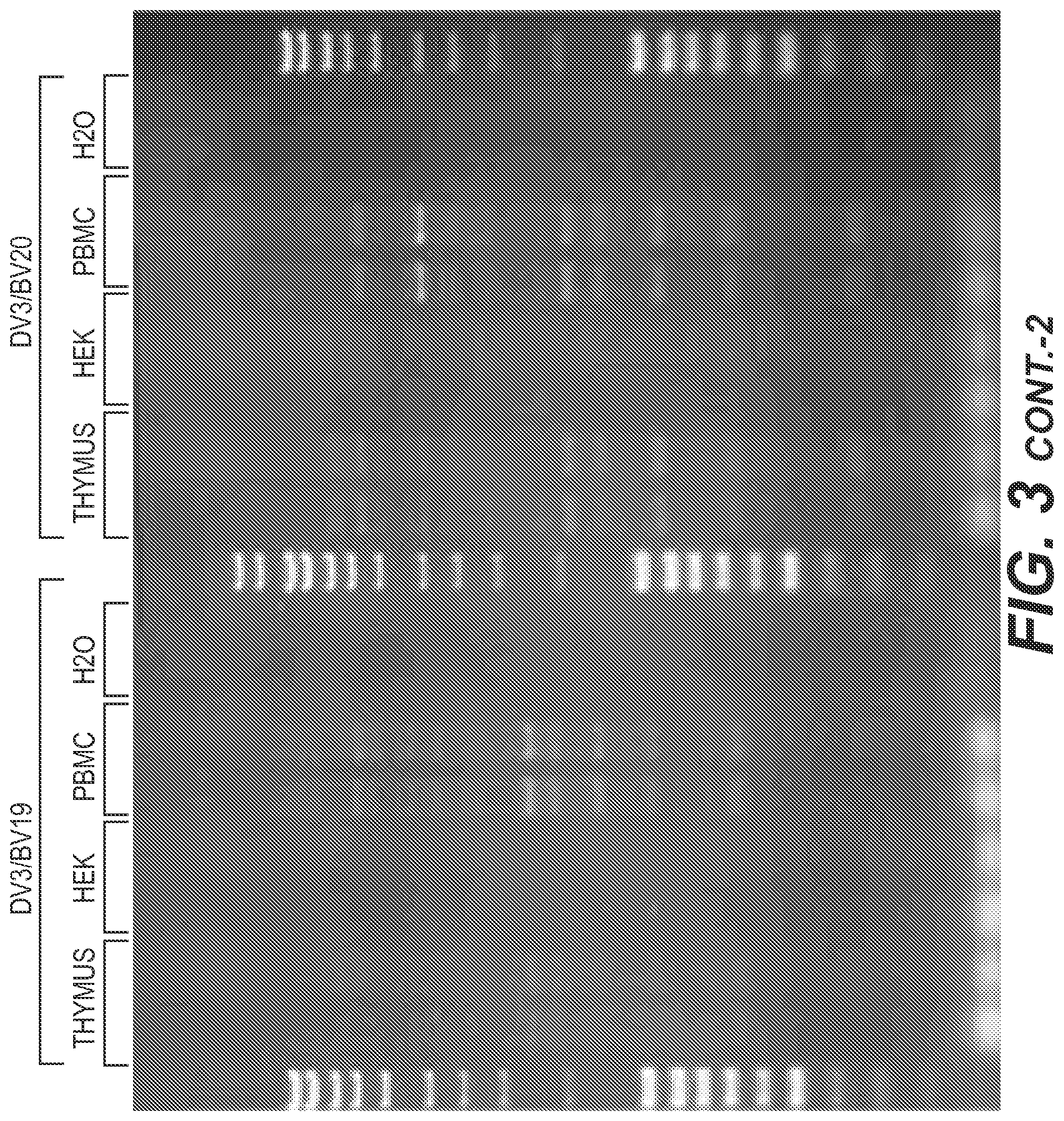 Patent US11773442 Figure 8 – Method for studying V(D)J combinatory diversity