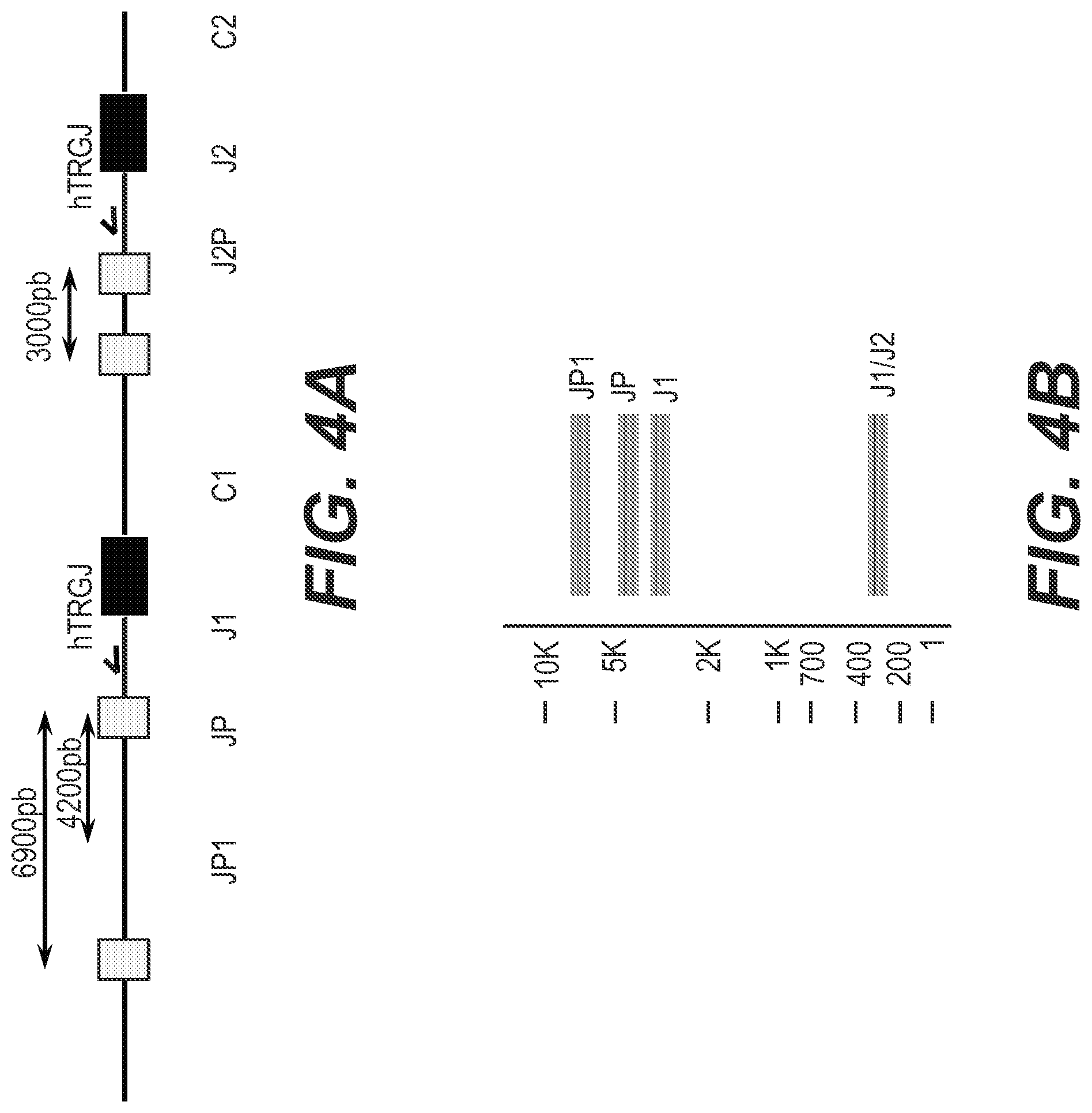 Patent US11773442 Figure 9 – Method for studying V(D)J combinatory diversity