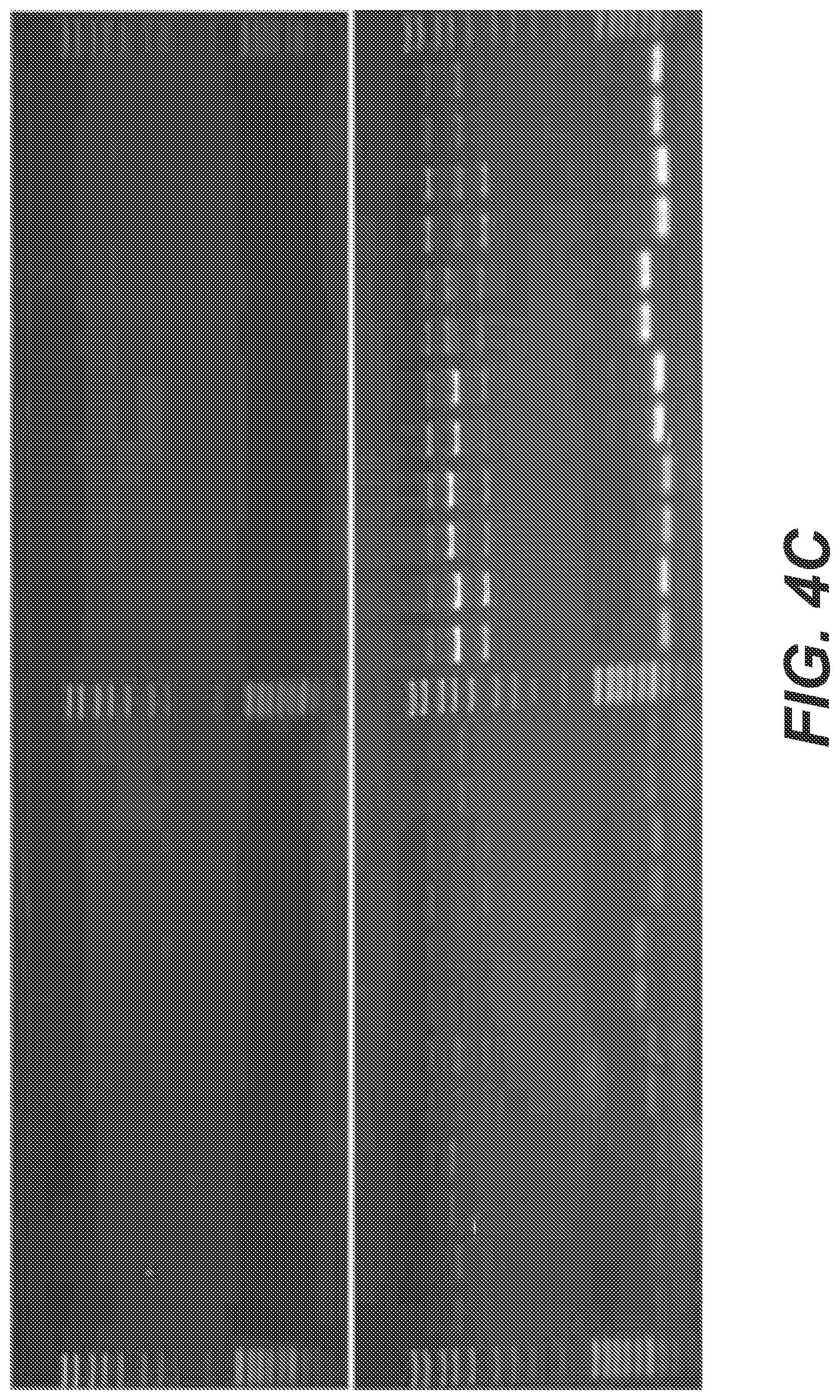 Patent US11773442 Figure 10 – Method for studying V(D)J combinatory diversity