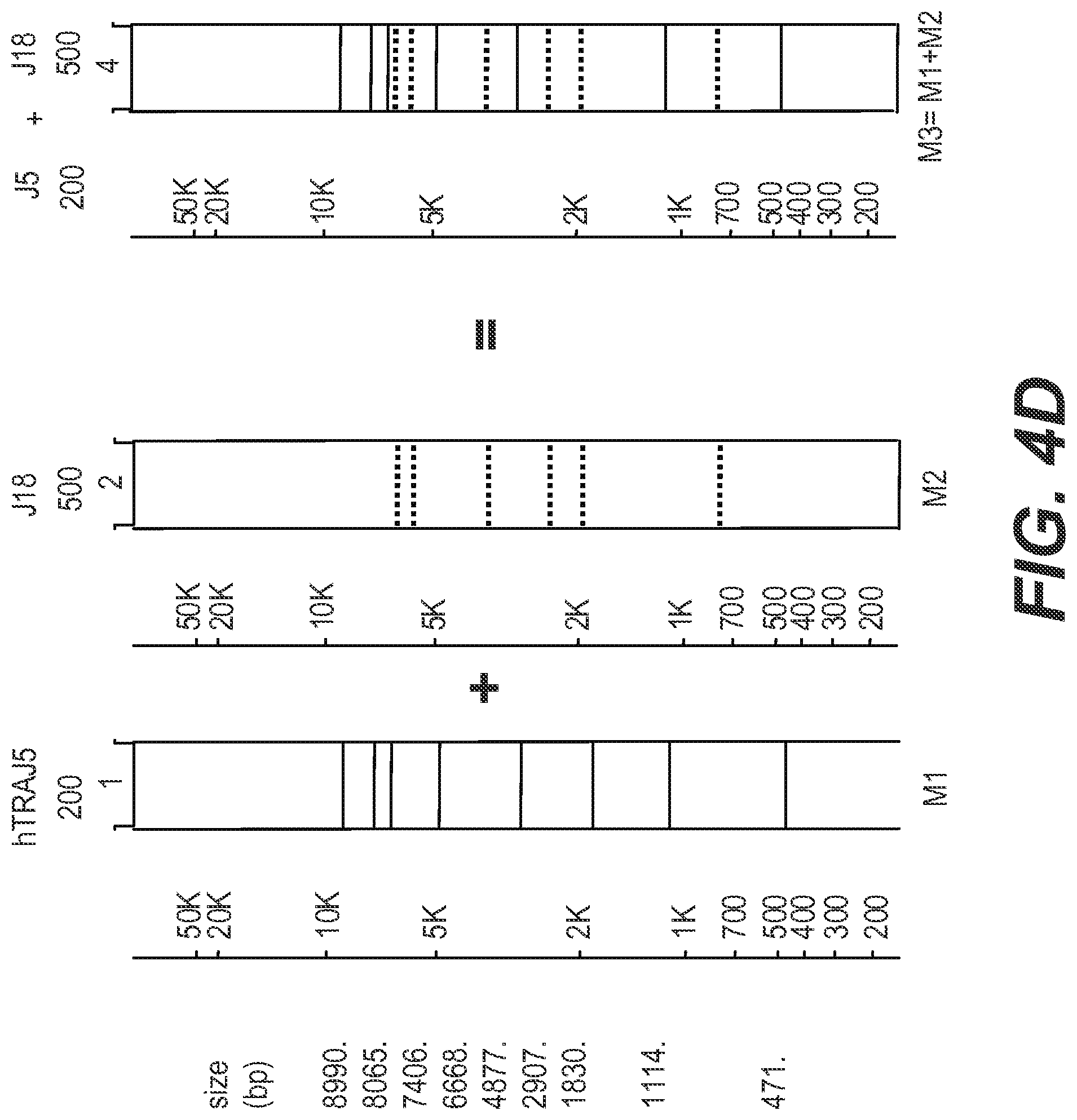 Patent US11773442 Figure 11 – Method for studying V(D)J combinatory diversity