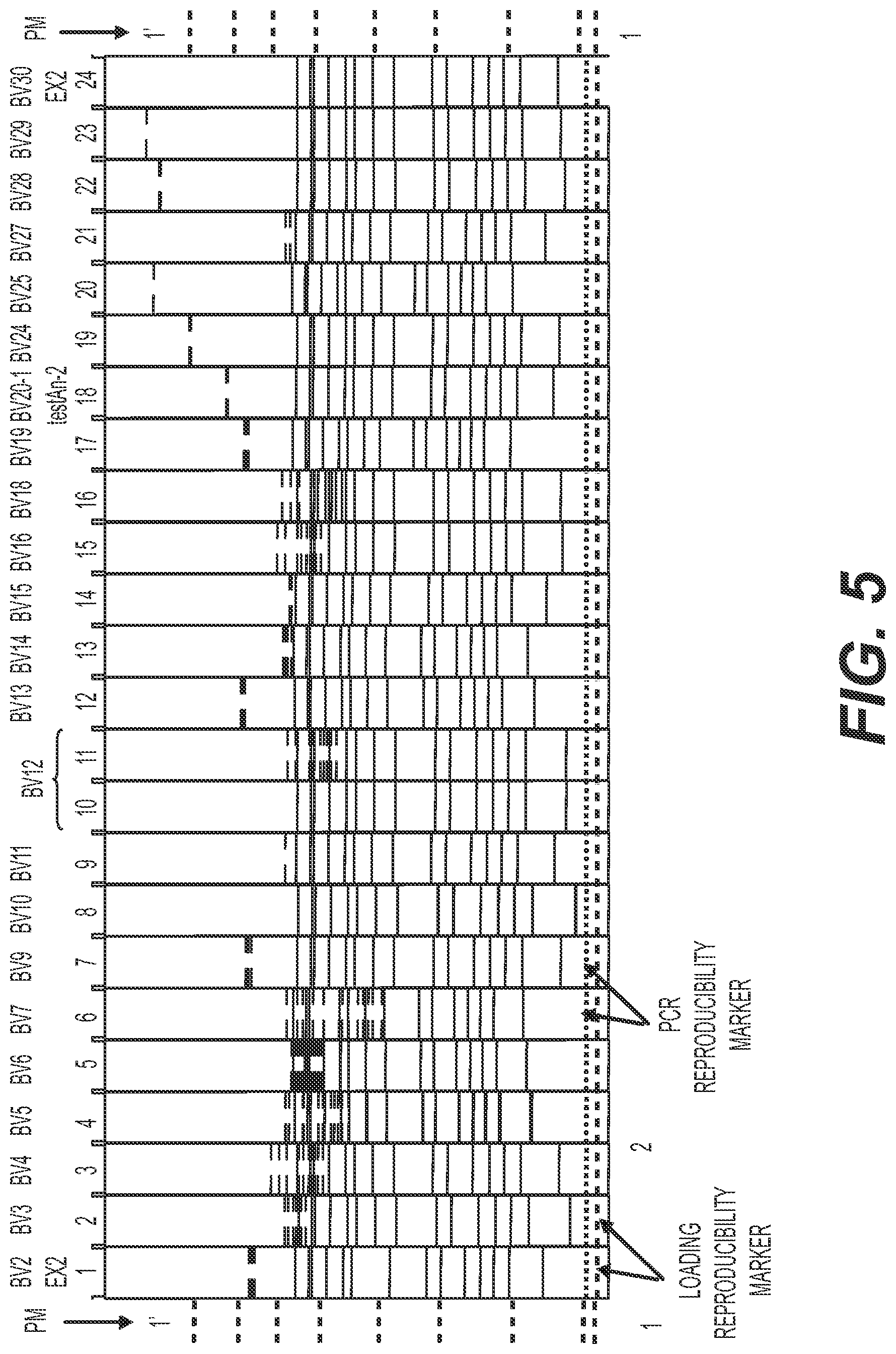 Patent US11773442 Figure 13 – Method for studying V(D)J combinatory diversity